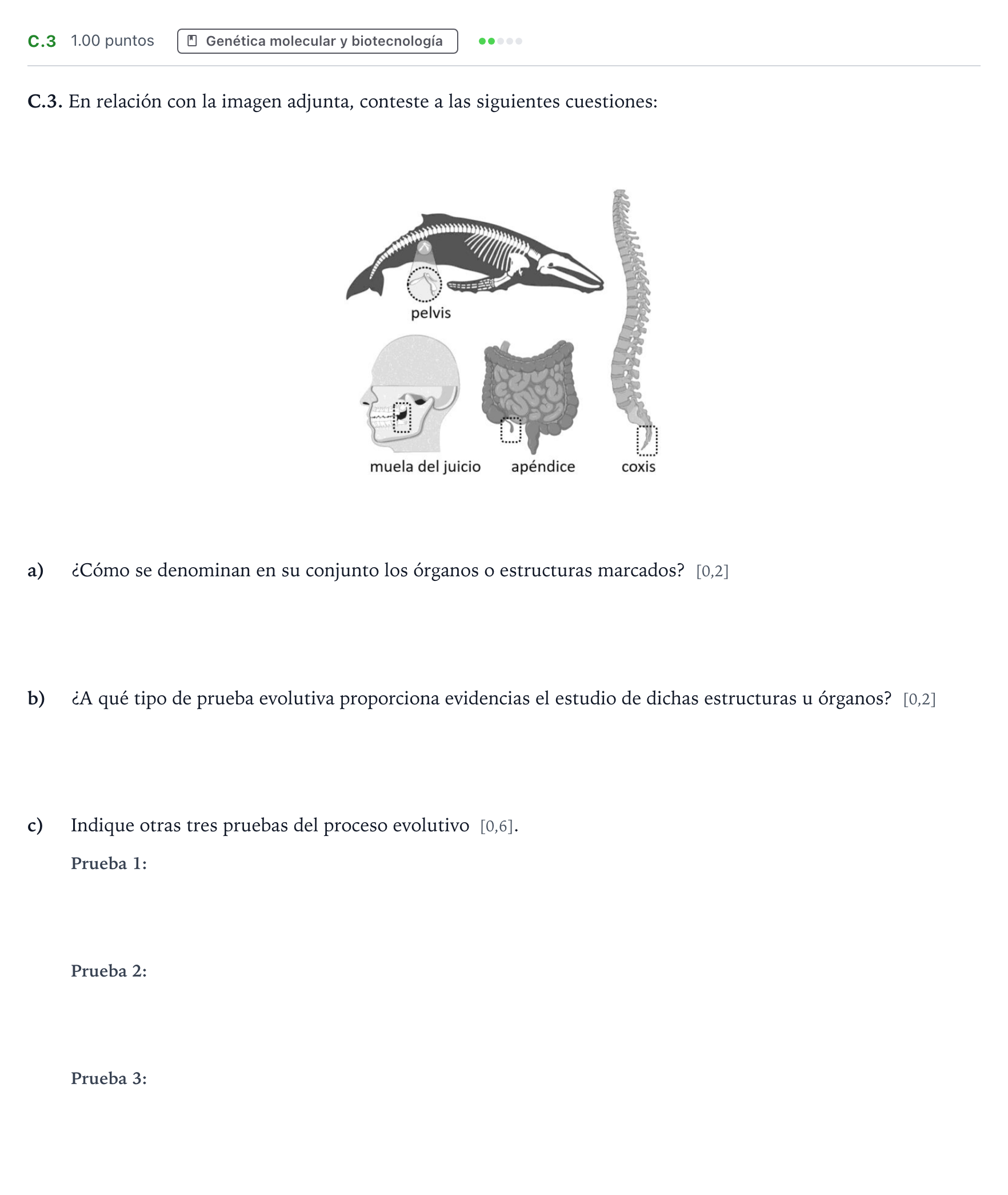 Enunciado: Ejercicio C.3 · Biología PAU Andalucía Extraordinaria Titular 2022
