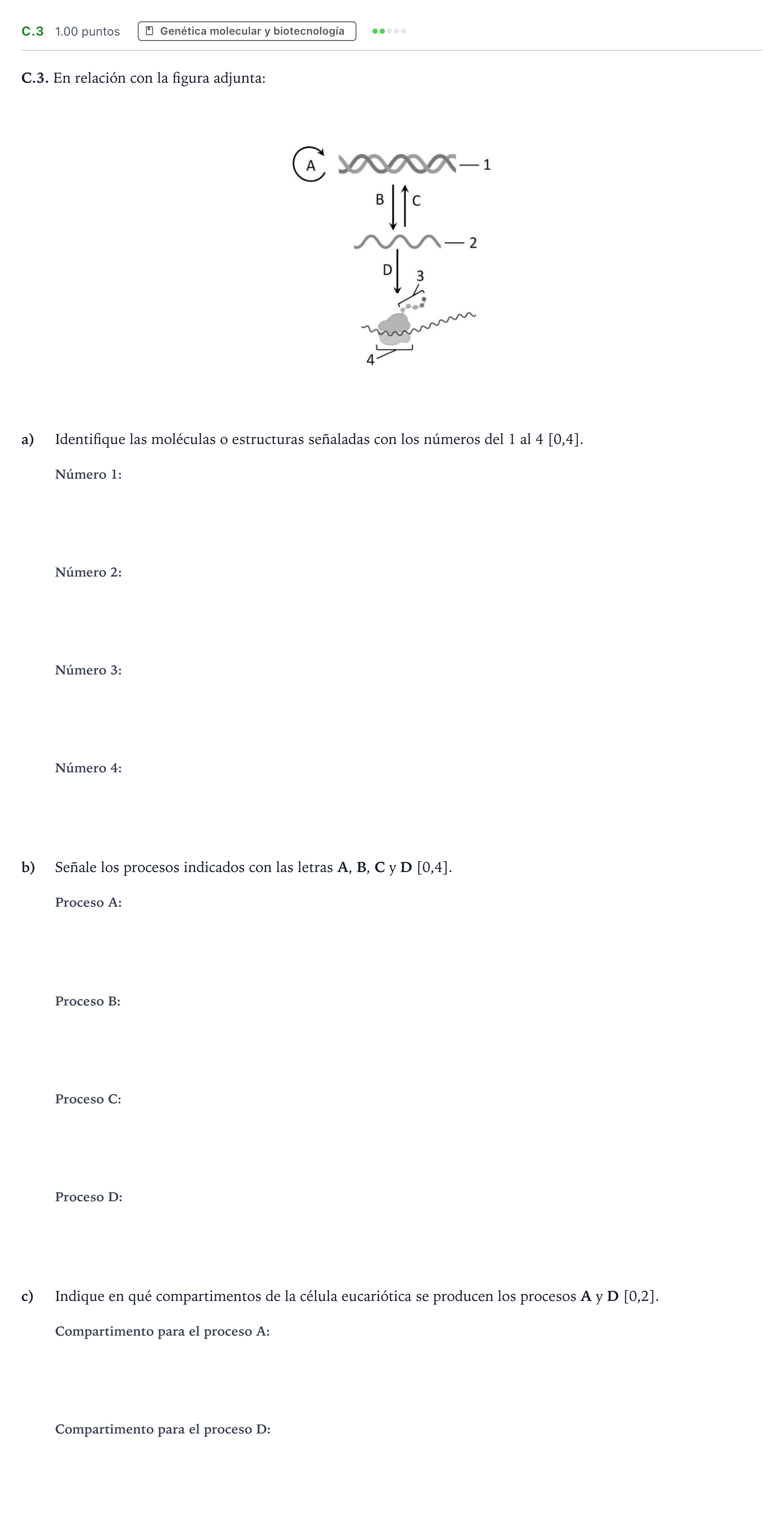 Enunciado: Ejercicio C.3 · Biología PAU Andalucía Extraordinaria Titular 2023