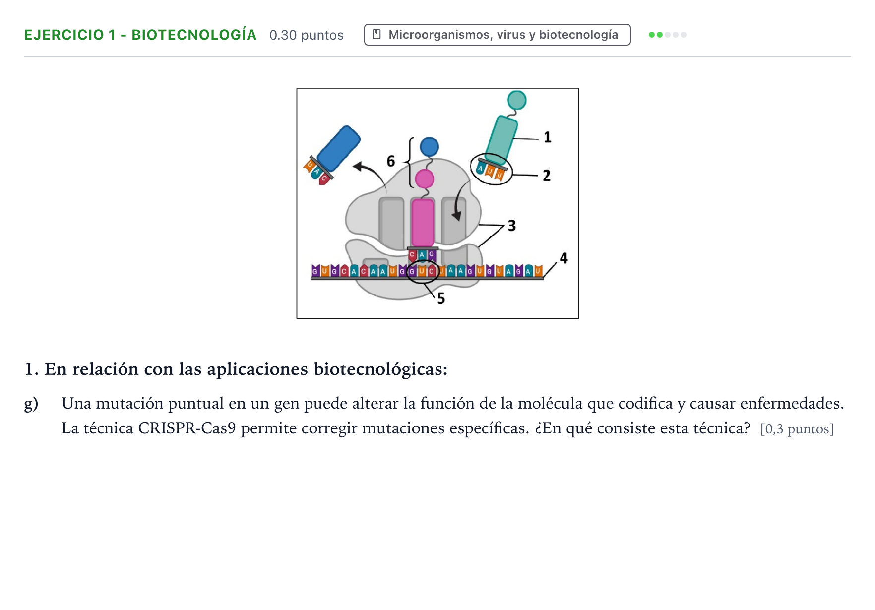 Enunciado: Ejercicio 1 - Biotecnología · Biología PAU Aragón Ordinaria 2026