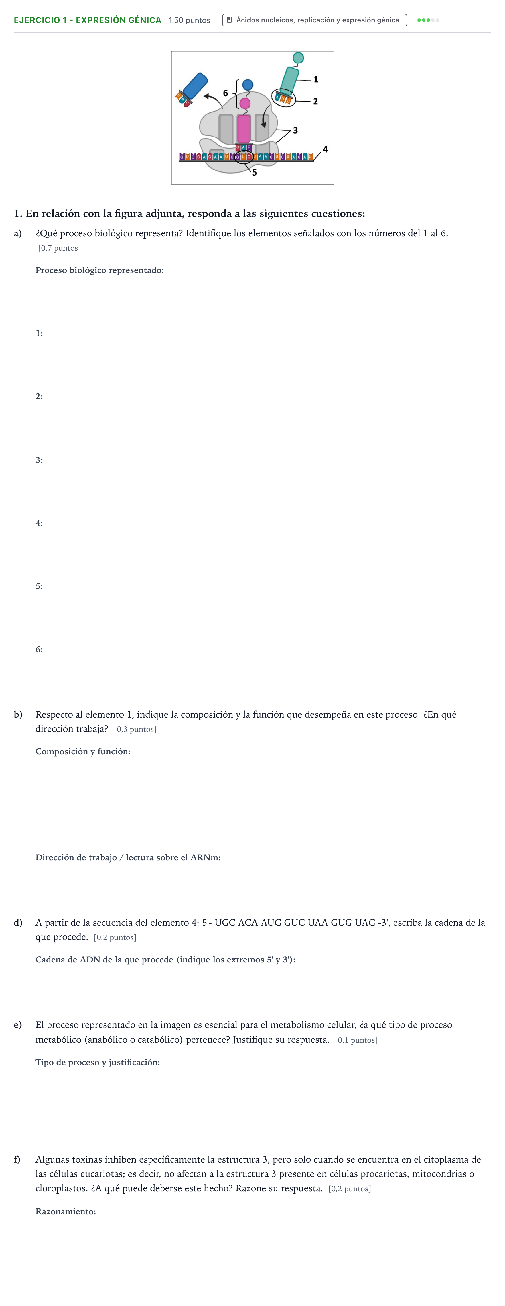Enunciado: Ejercicio 1 - Expresión génica · Biología PAU Aragón Ordinaria 2026