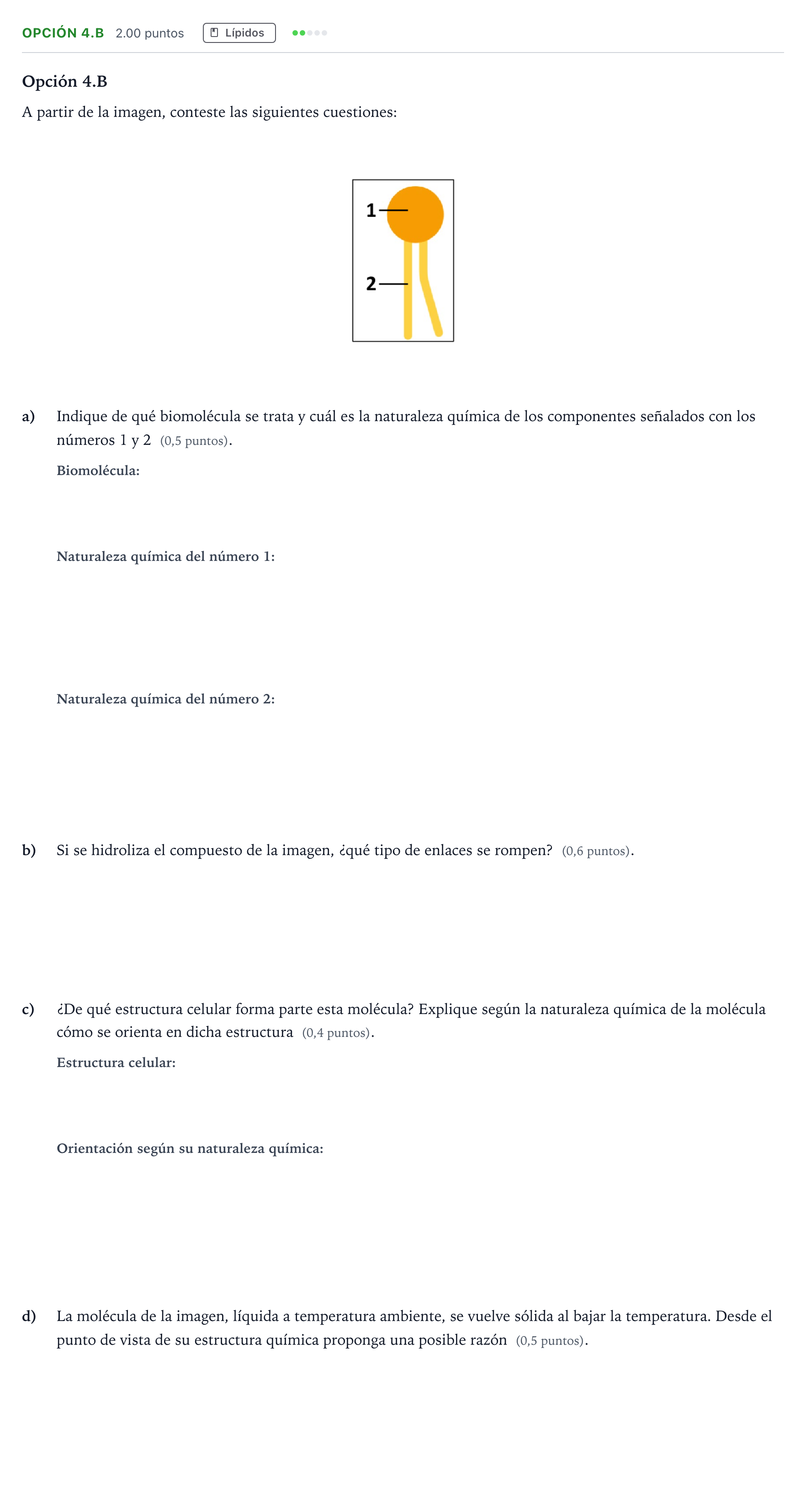 Enunciado: Opción 4.B · Biología PAU Aragón Ordinaria 2026