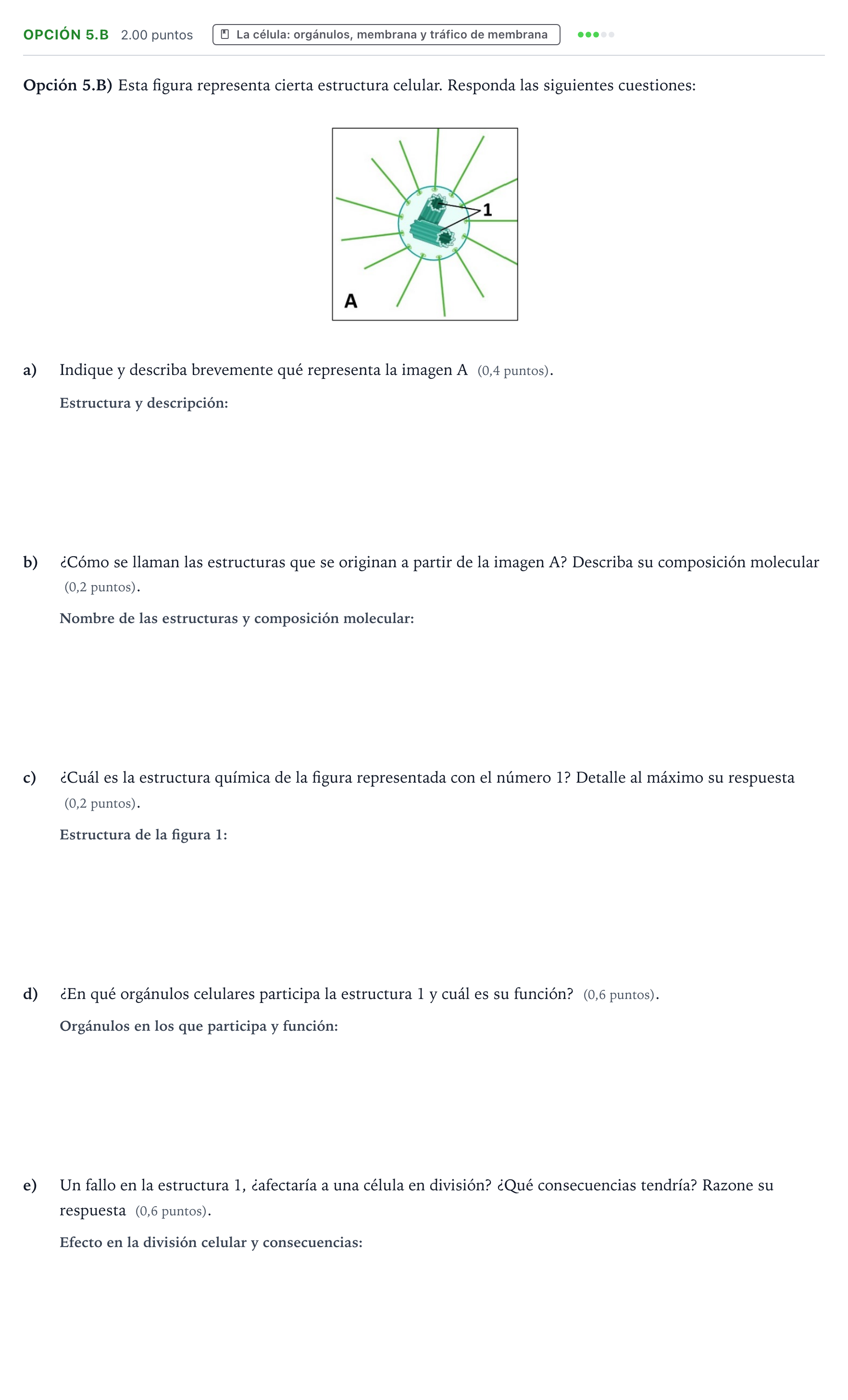 Enunciado: Opción 5.B · Biología PAU Aragón Ordinaria 2026
