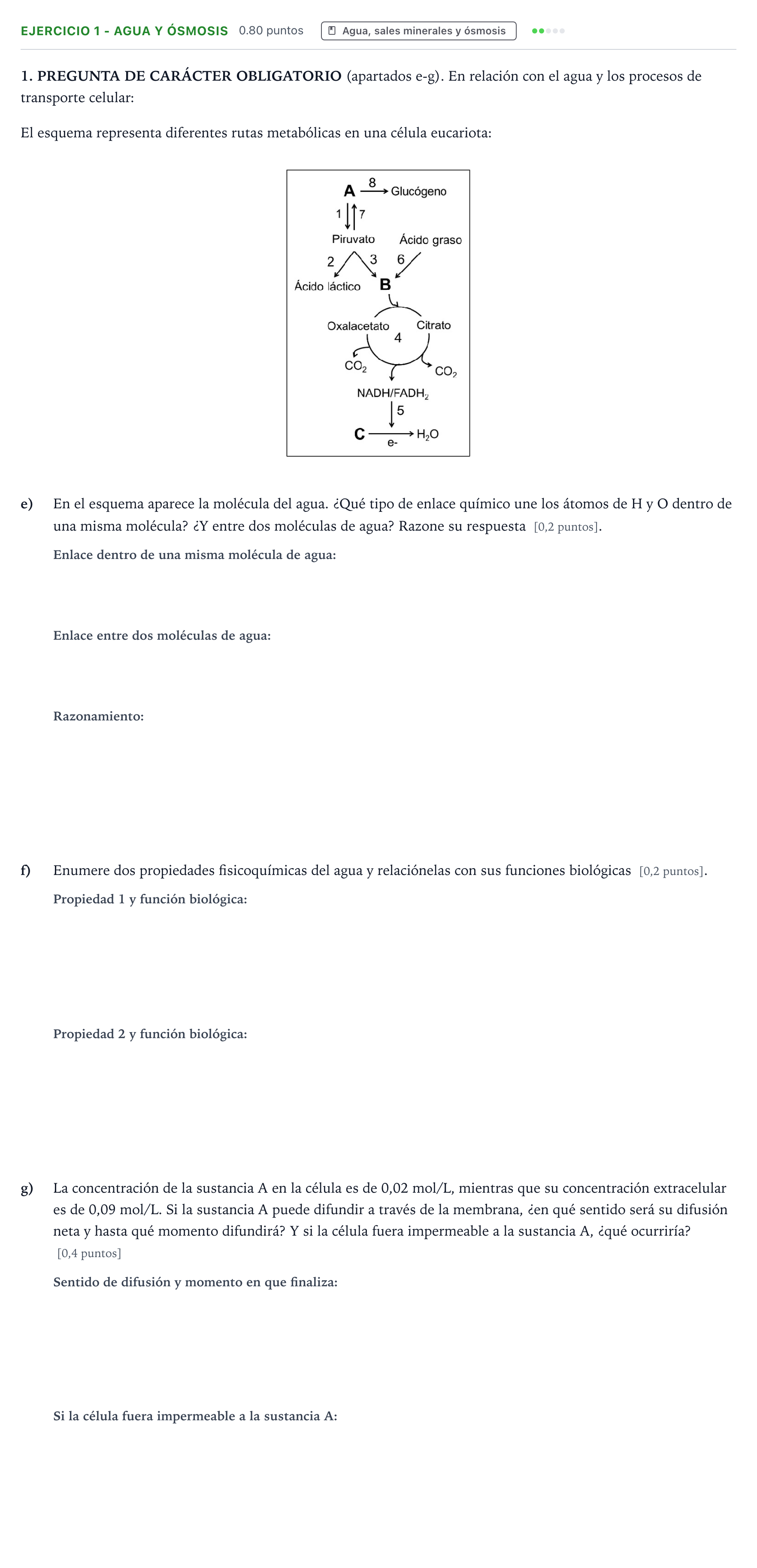 Enunciado: Ejercicio 1 - Agua y ósmosis · Biología PAU Aragón Extraordinaria 2026
