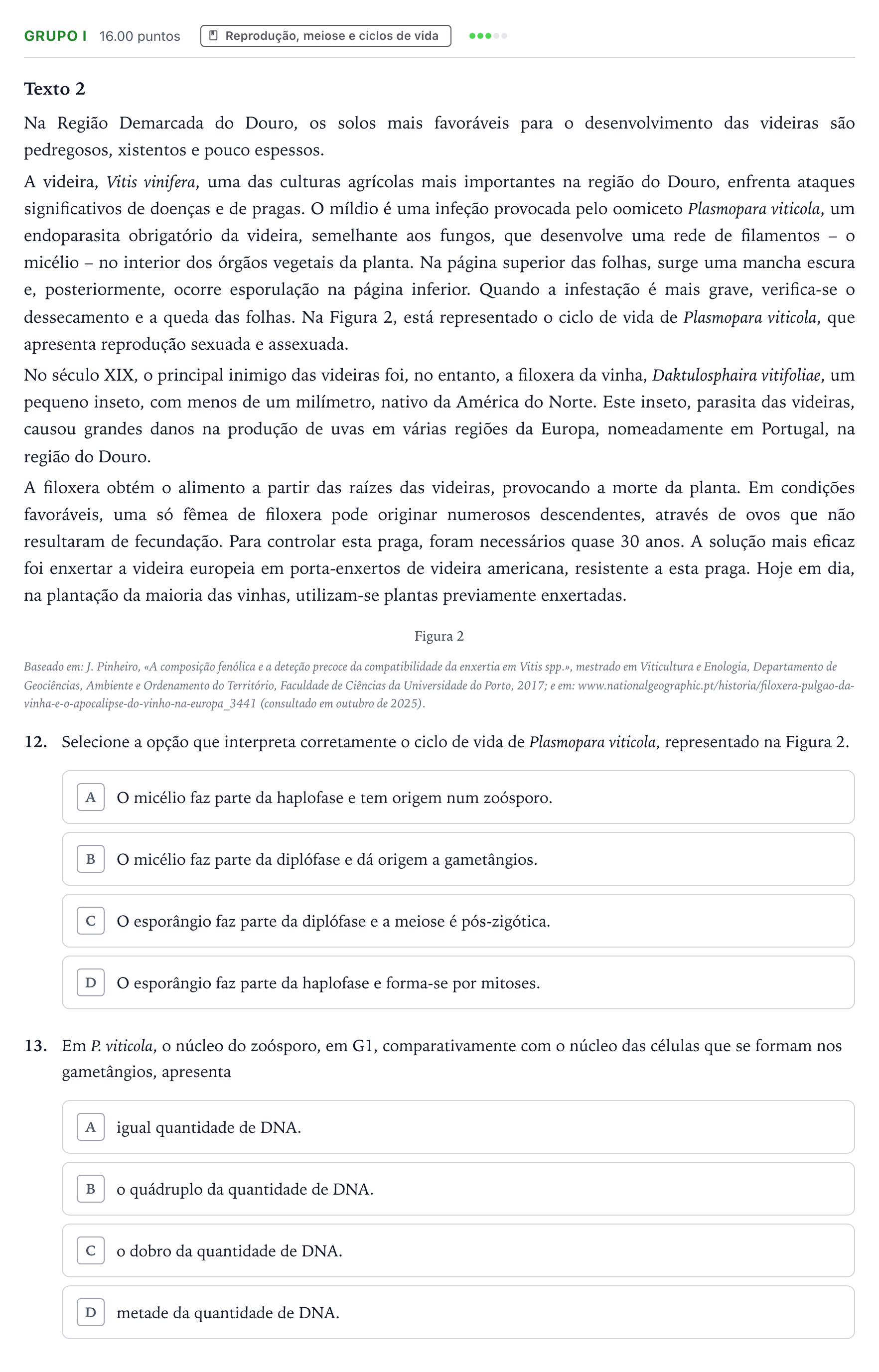 Enunciado: Grupo I · Exame Nacional Biologia e Geologia Época especial 2026
