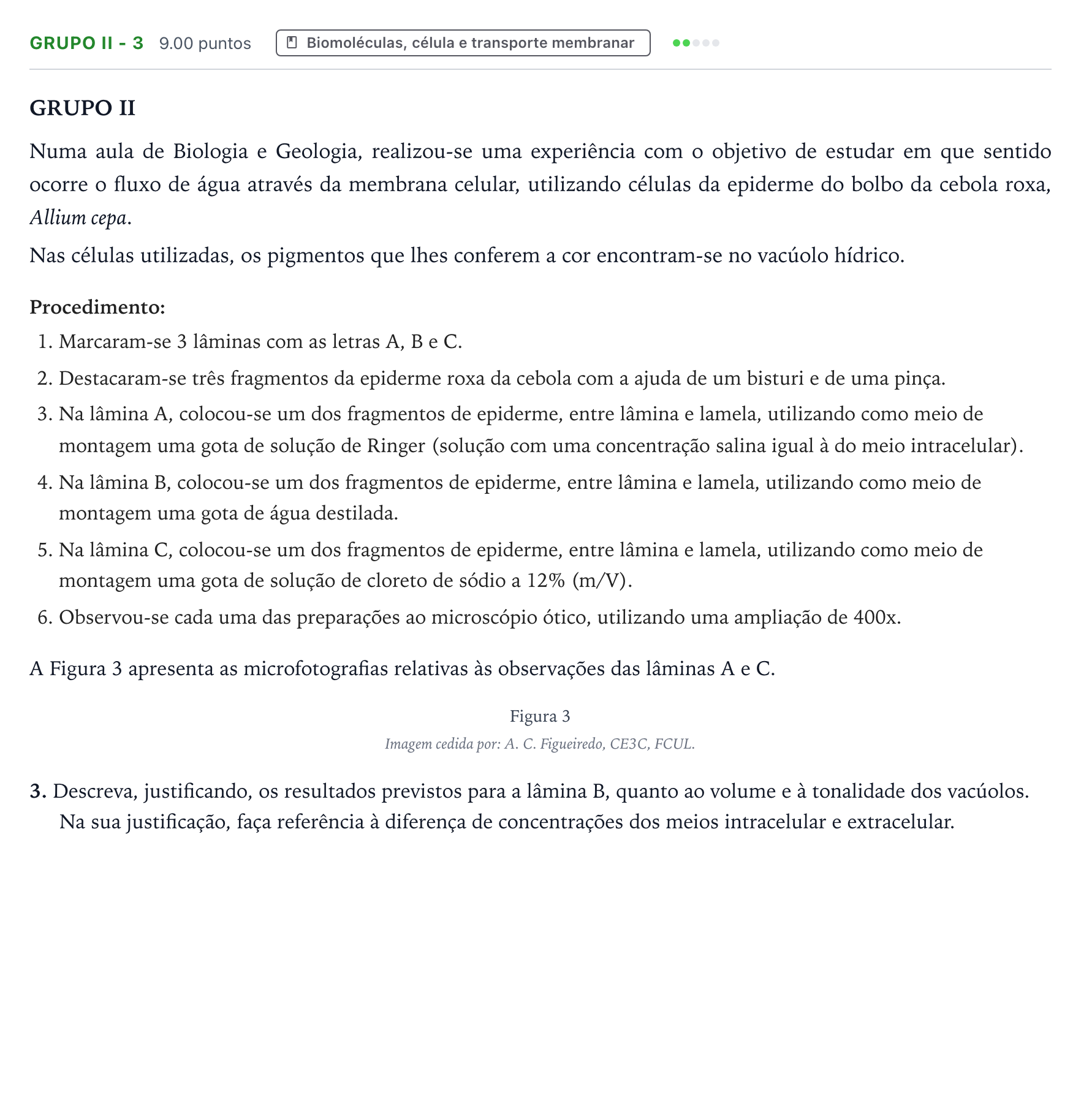Enunciado: Grupo II - 3 · Exame Nacional Biologia e Geologia 1.ª fase 2026