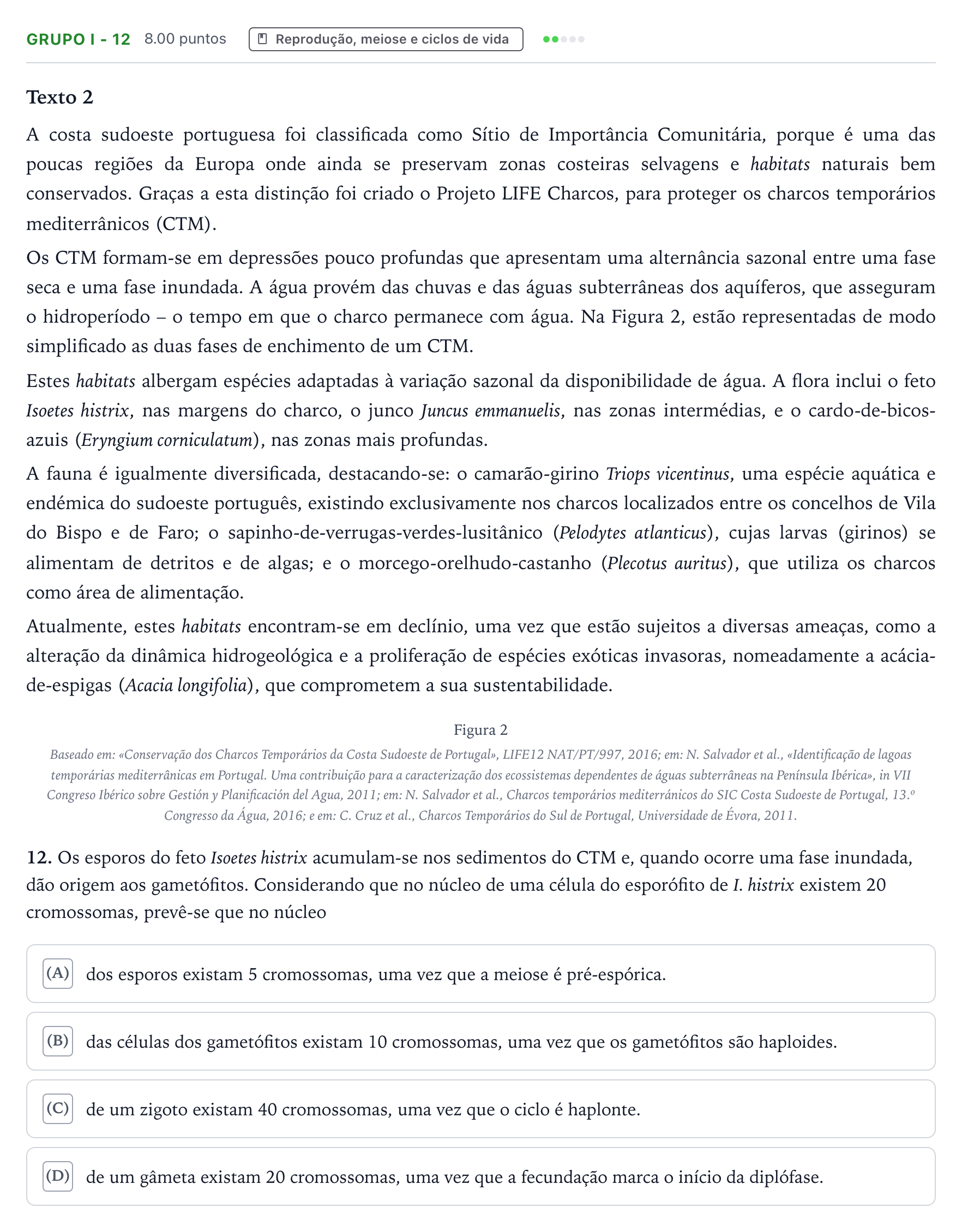 Enunciado: Grupo I - 12 · Exame Nacional Biologia e Geologia 2.ª fase 2026