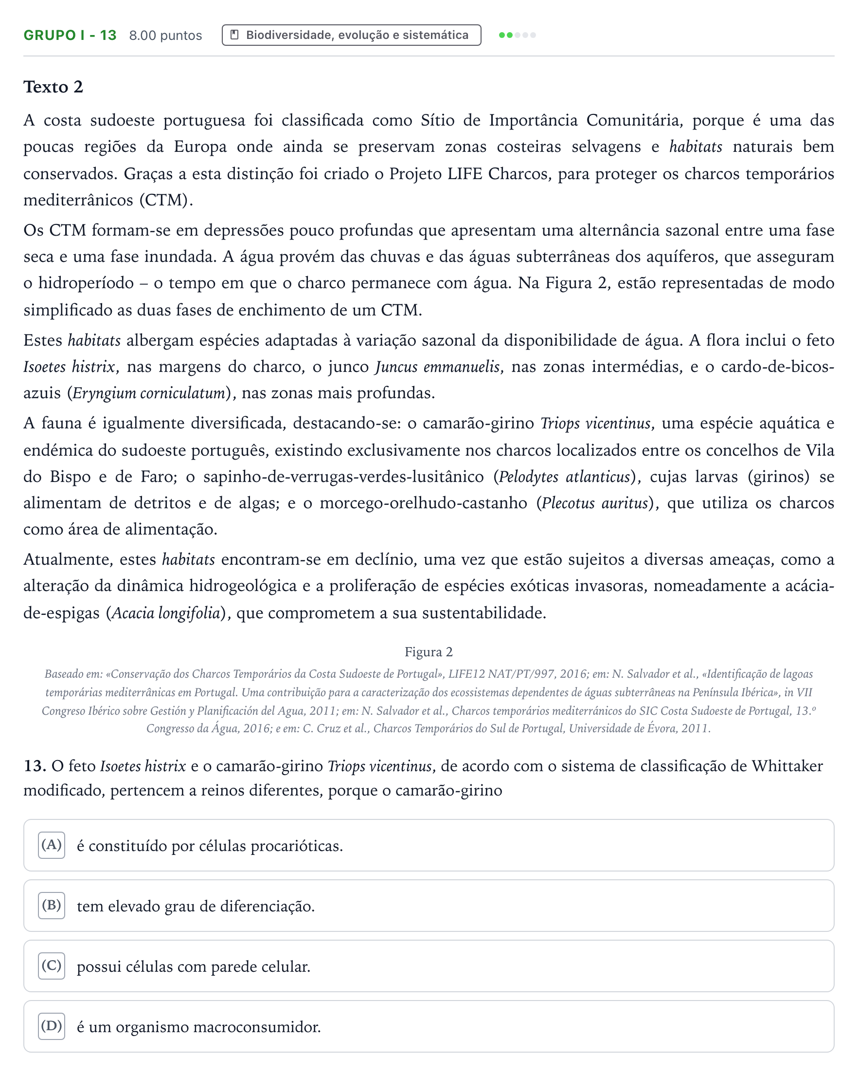 Enunciado: Grupo I - 13 · Exame Nacional Biologia e Geologia 2.ª fase 2026