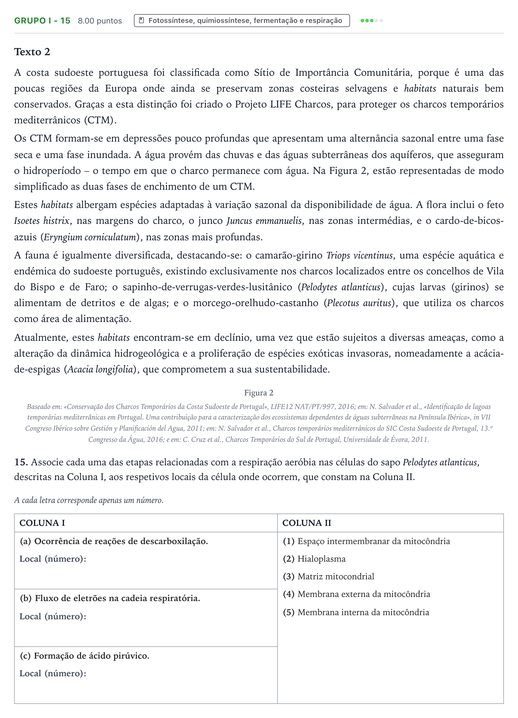 Enunciado: Grupo I - 15 · Exame Nacional Biologia e Geologia 2.ª fase 2026