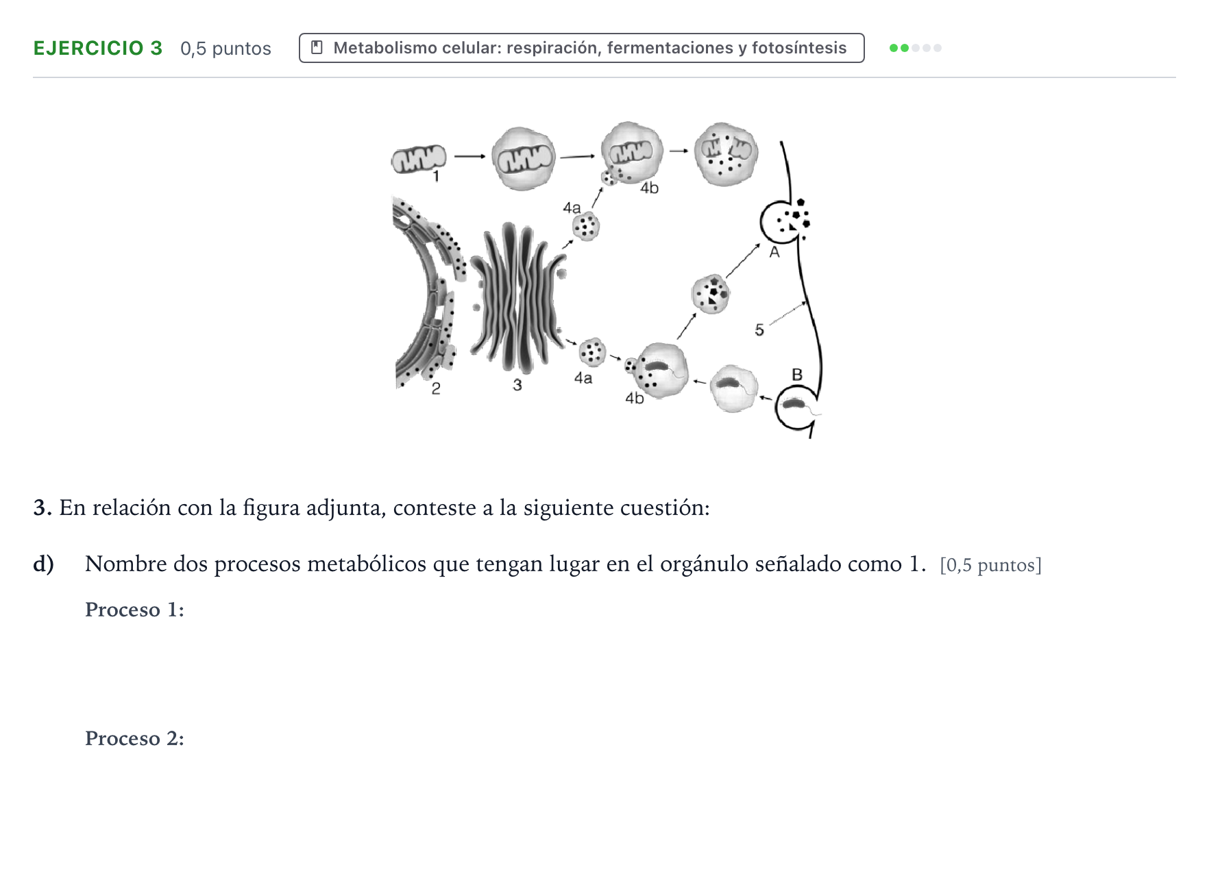 Enunciado: Ejercicio 3 - Metabolismo celular · Biología PAU Aragón Extraordinaria 2022