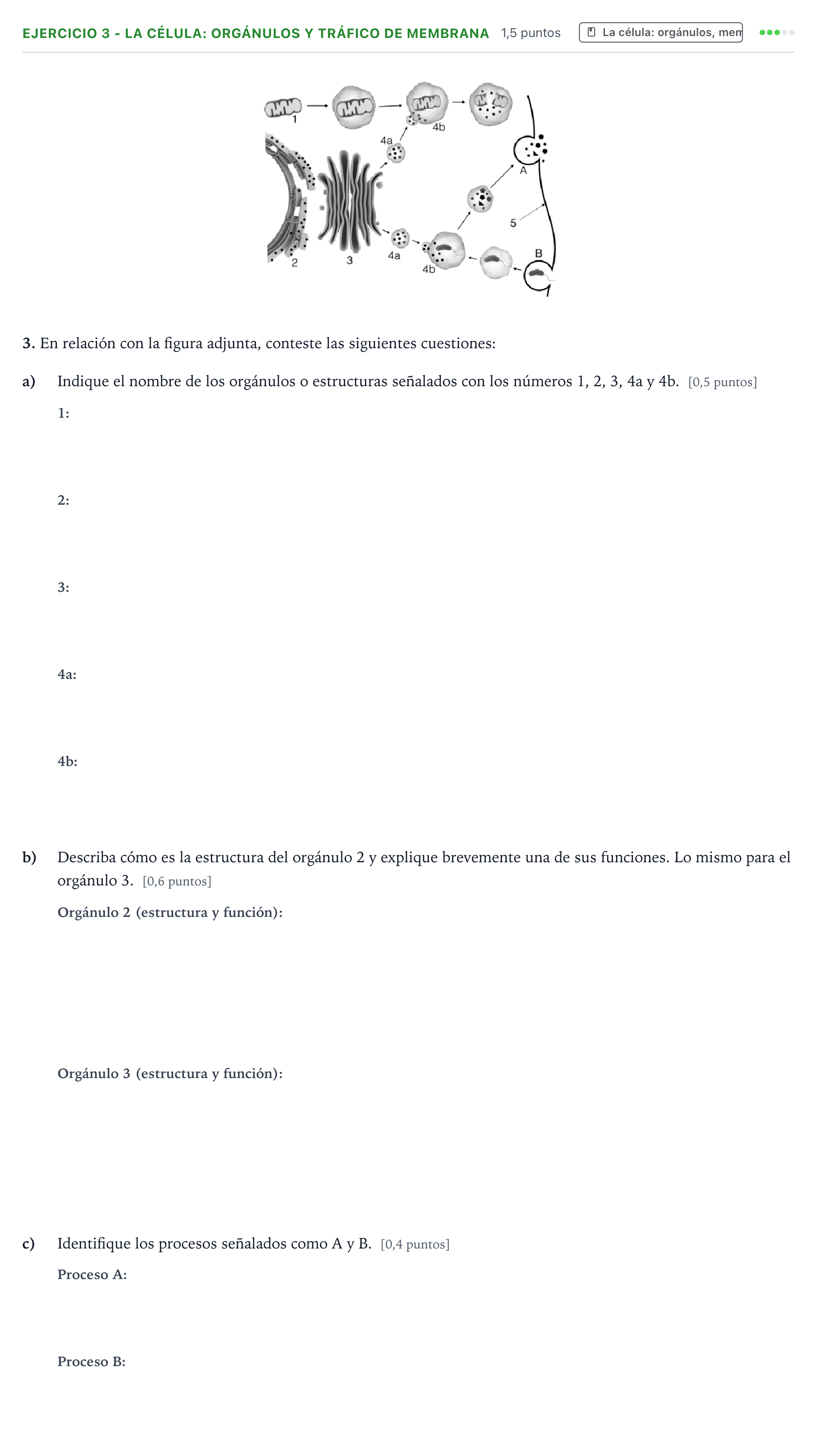 Enunciado: Ejercicio 3 - La célula: orgánulos y tráfico de membrana · Biología PAU Aragón Extraordinaria 2022