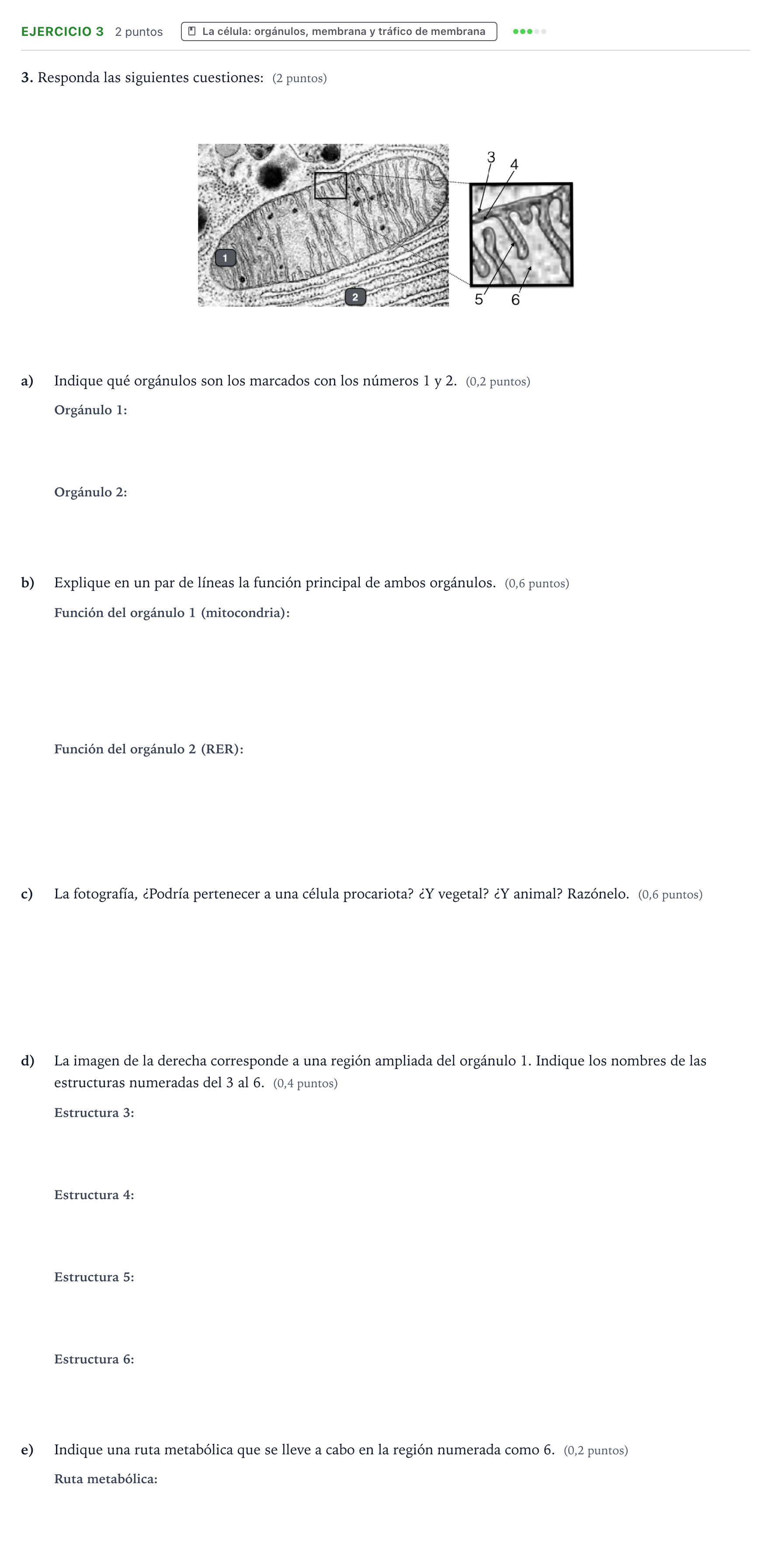 Enunciado: Problema 3 · Biología PAU Aragón Ordinaria 2022