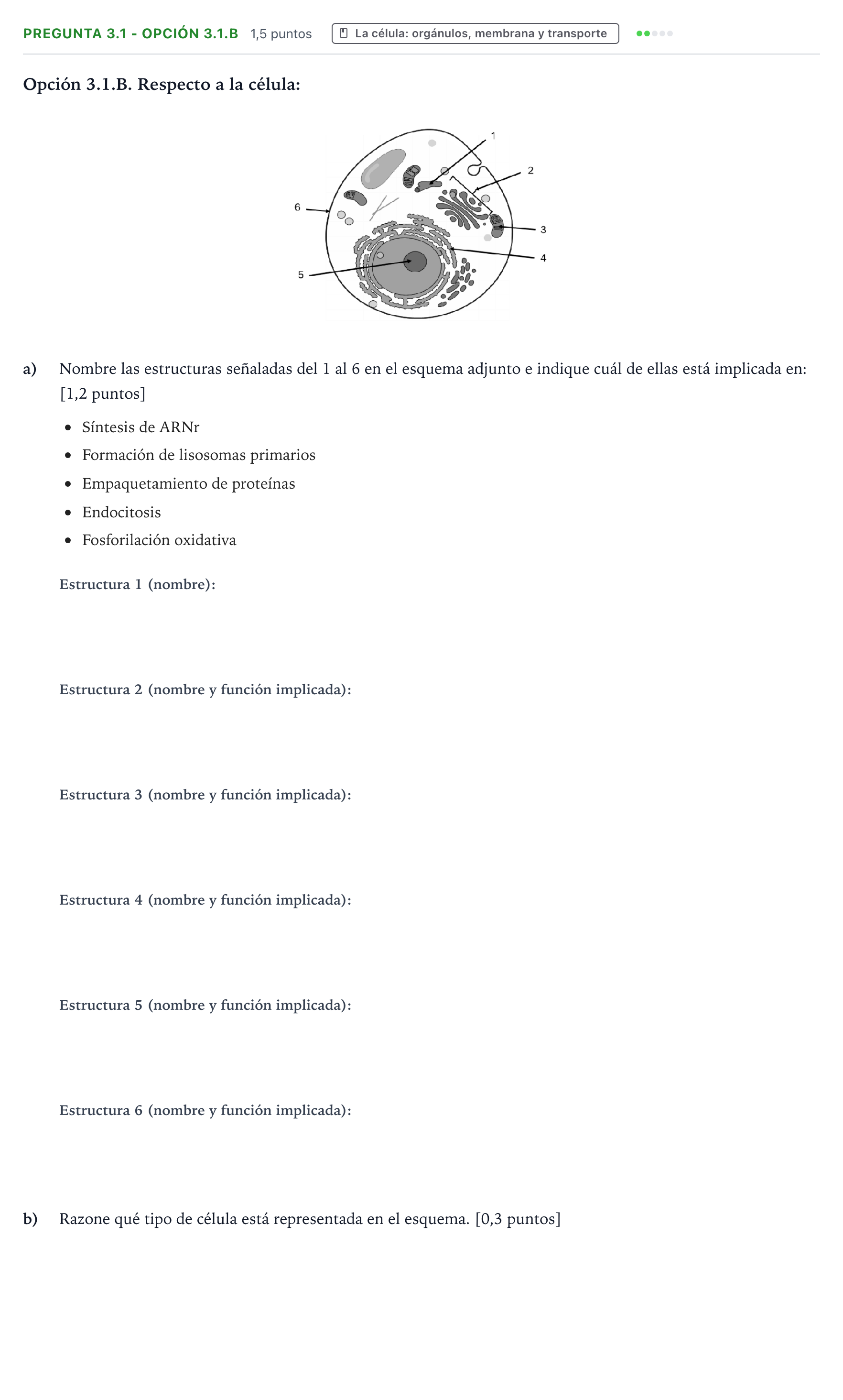 Enunciado: Pregunta 3.1 - Opción 3.1.B · Biología PAU Castilla y León Extraordinaria 2026