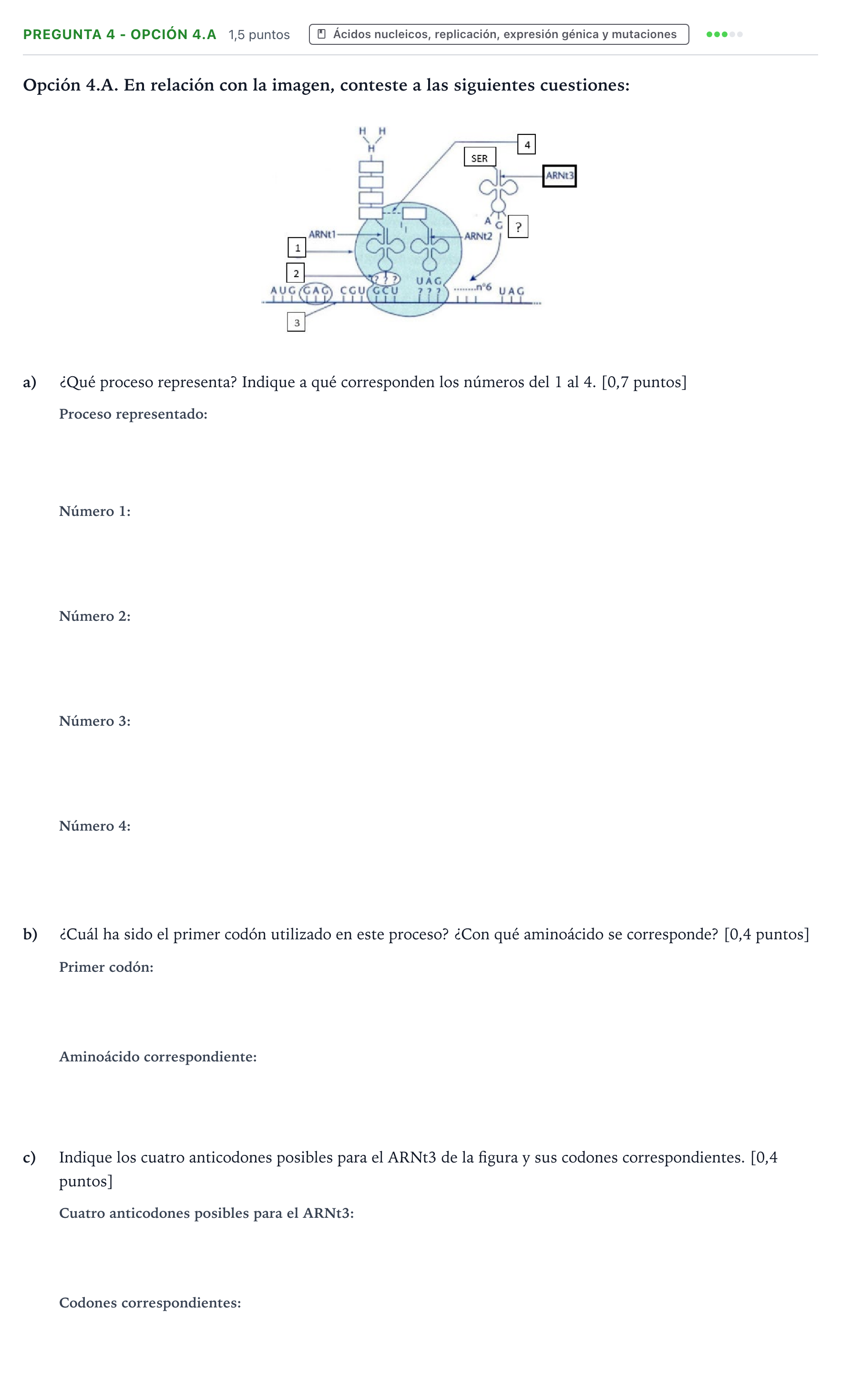 Enunciado: Pregunta 4 - Opción 4.A · Biología PAU Castilla y León Extraordinaria 2026