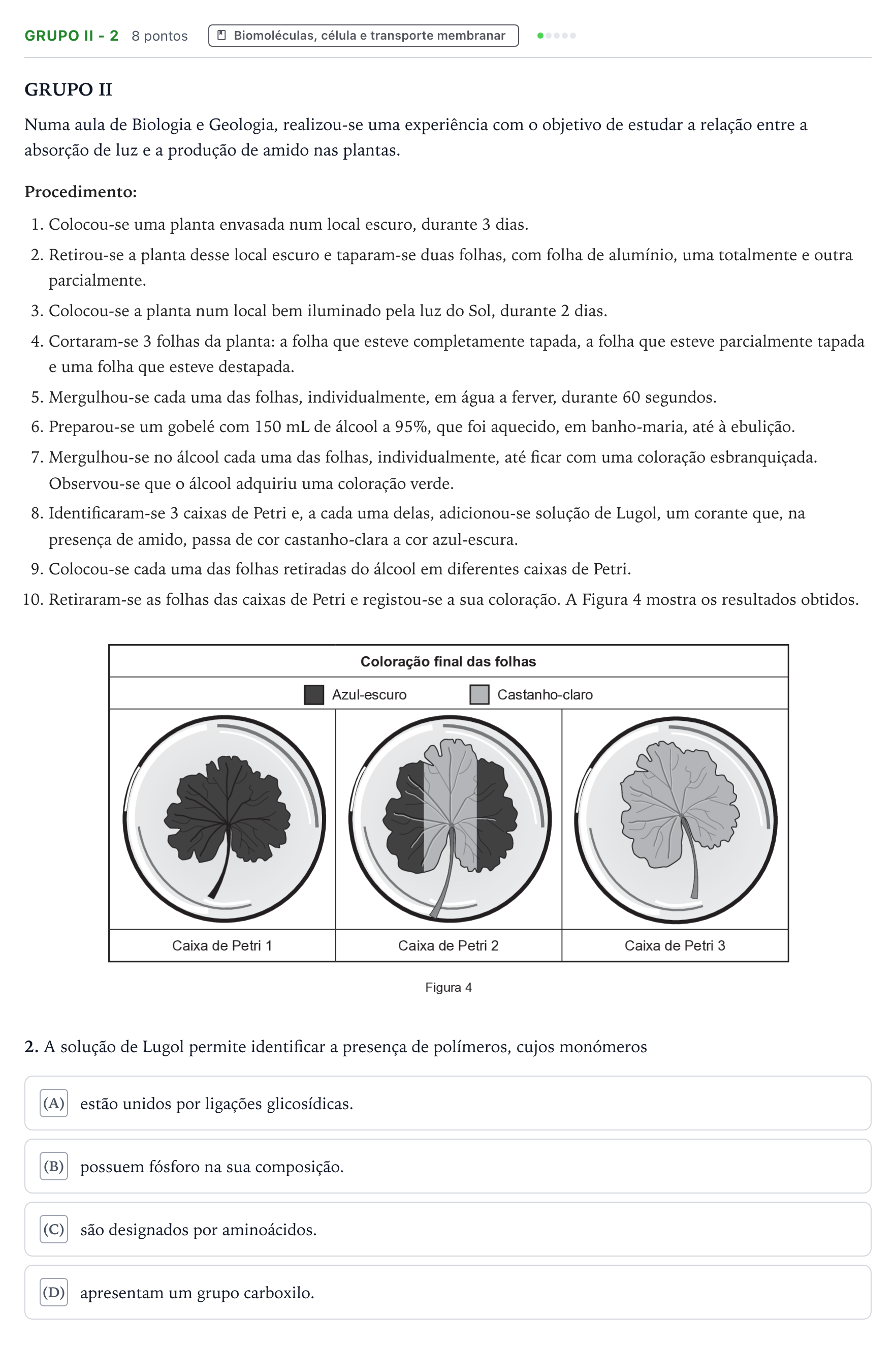 Enunciado: Grupo II - 2 · Exame Nacional Biologia e Geologia 1.ª fase 2025