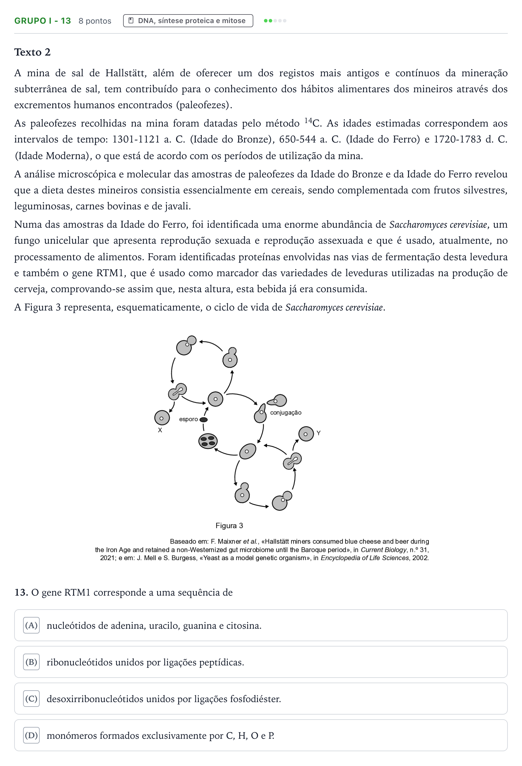 Enunciado: Grupo I - 13 · Exame Nacional Biologia e Geologia 2.ª fase 2025