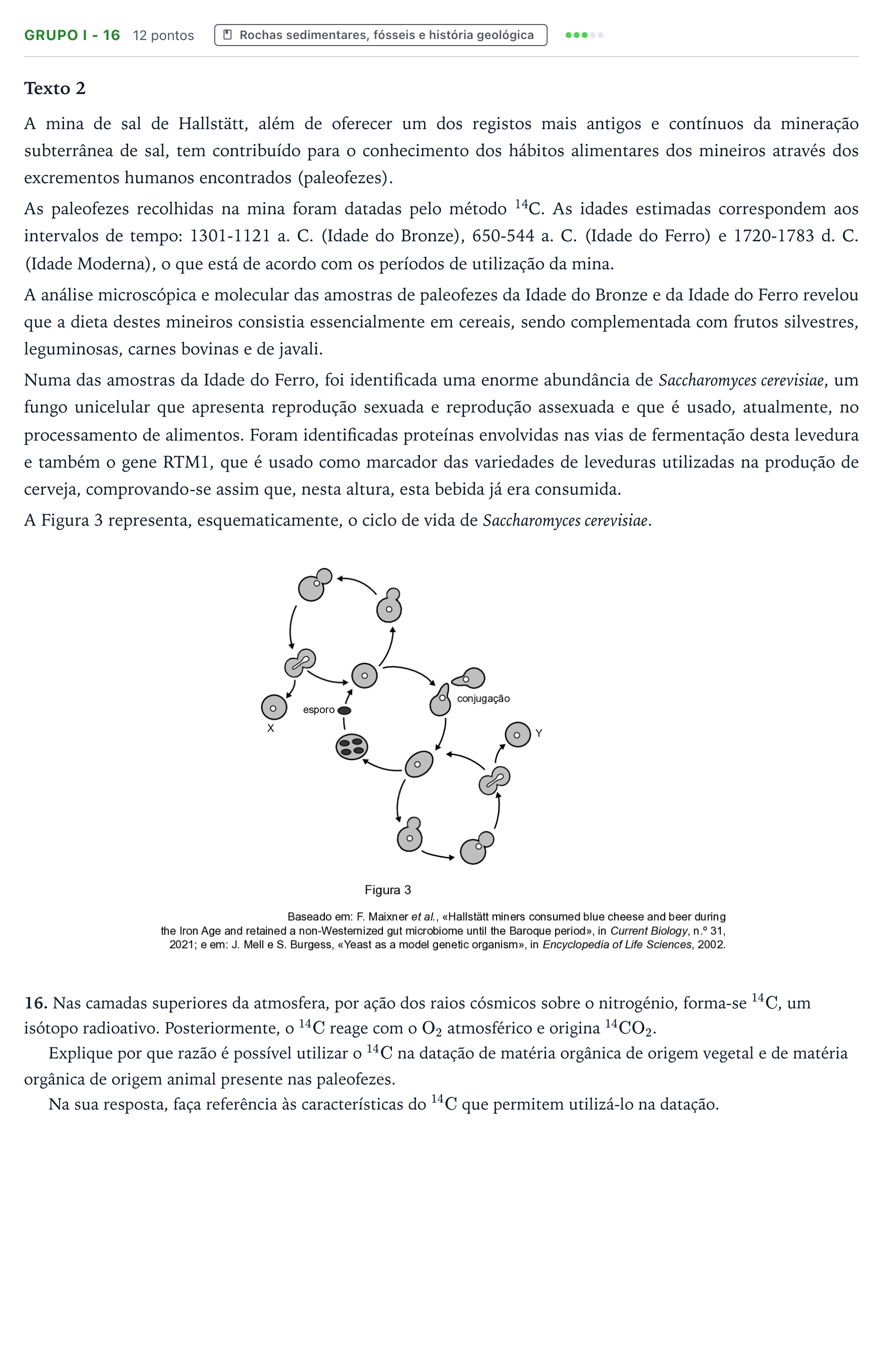 Enunciado: Grupo I - 16 · Exame Nacional Biologia e Geologia 2.ª fase 2025