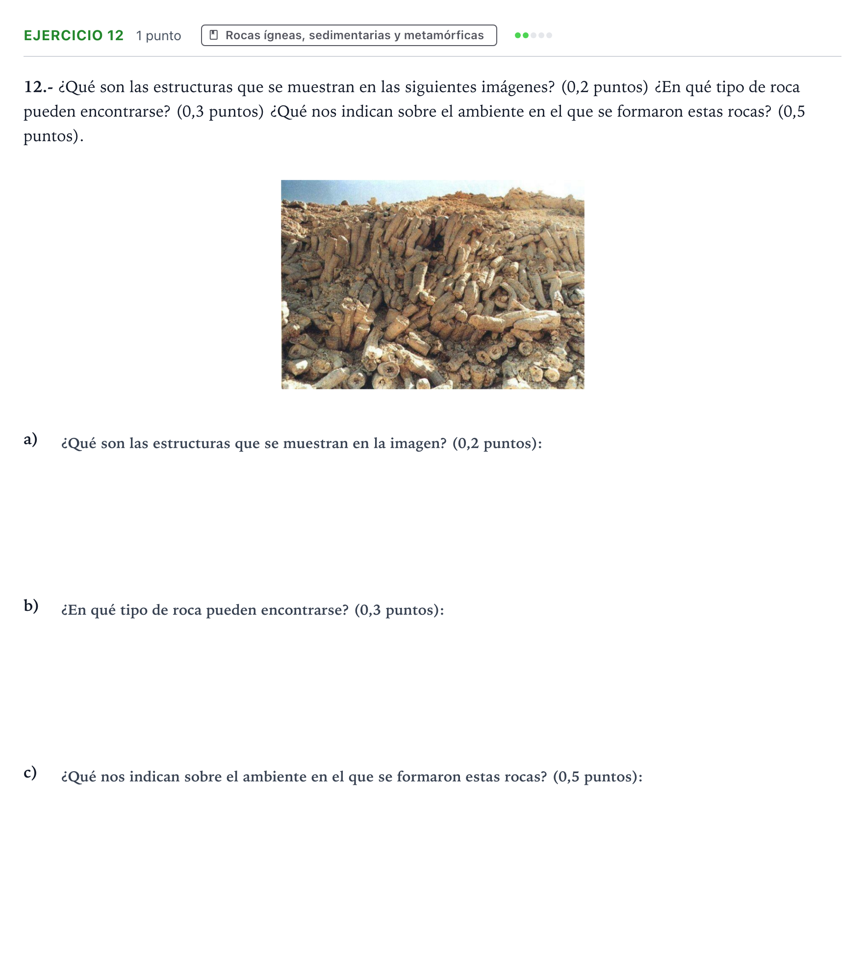 Enunciado: Problema 12 · Geología y Ciencias Ambientales PAU Castilla y León Extraordinaria 2024