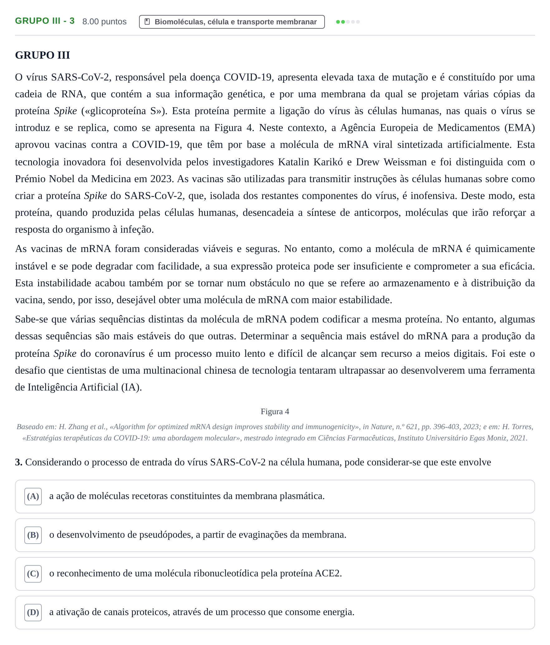 Enunciado: Grupo III - 3 · Exame Nacional Biologia e Geologia 1.ª fase 2024