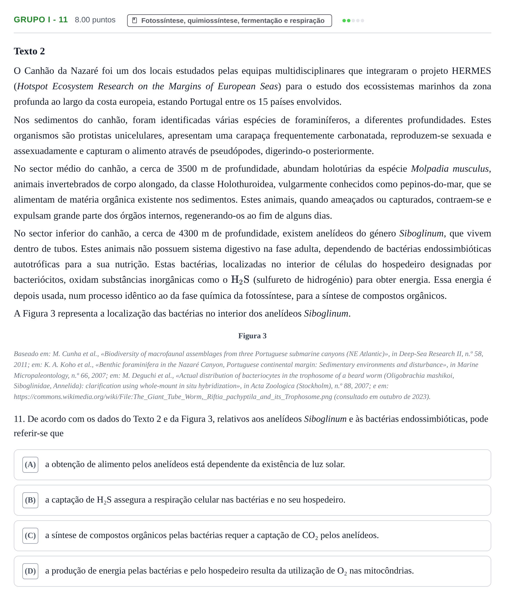 Enunciado: Grupo I - 11 · Exame Nacional Biologia e Geologia 1.ª fase 2024