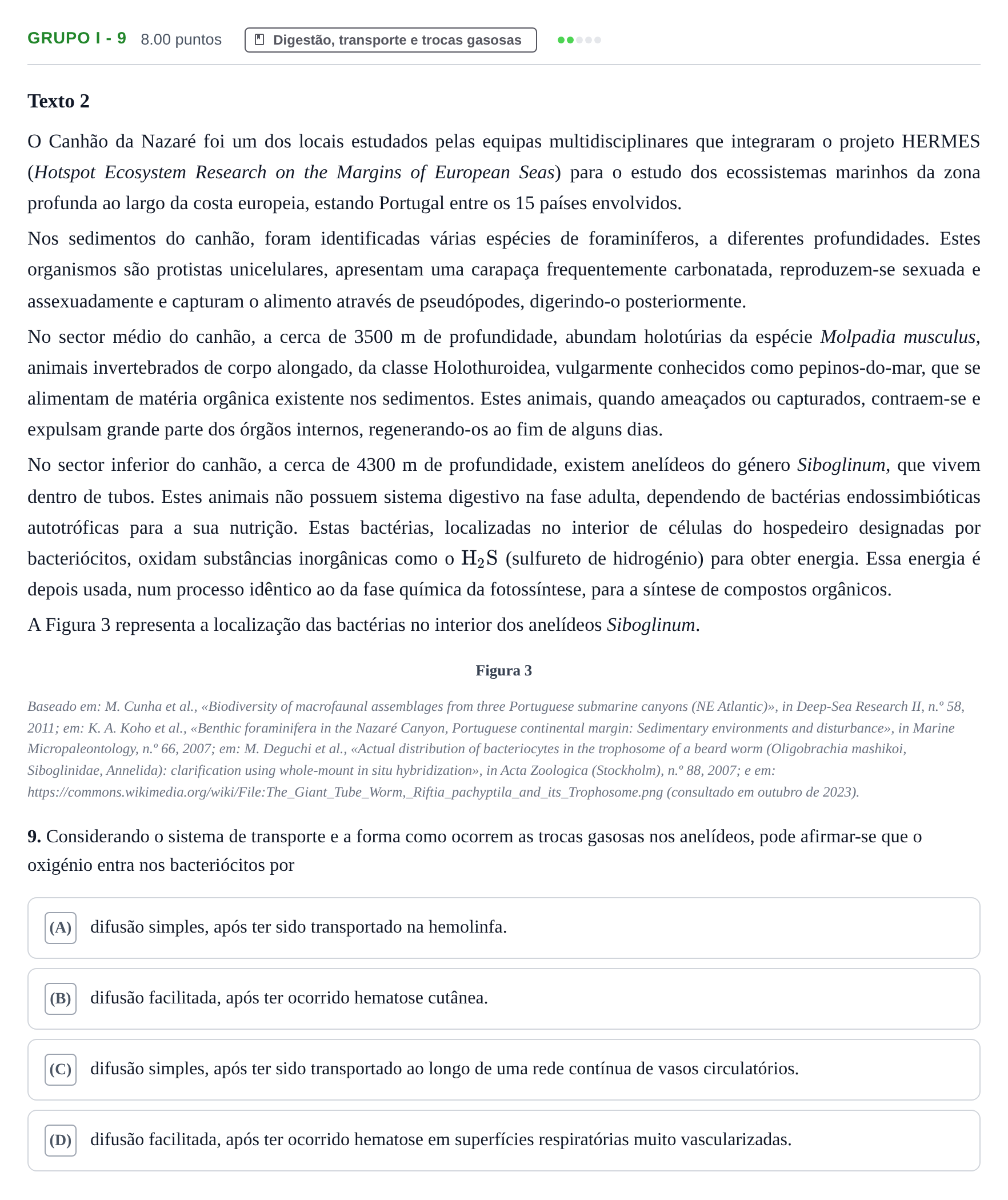 Enunciado: Grupo I - 9 · Exame Nacional Biologia e Geologia 1.ª fase 2024