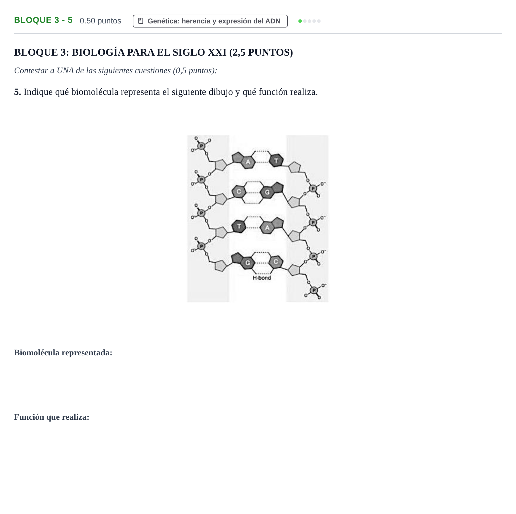 Enunciado: Bloque 3 - 5 · Ciencias Generales PAU Castilla-La Mancha Extraordinaria 2024