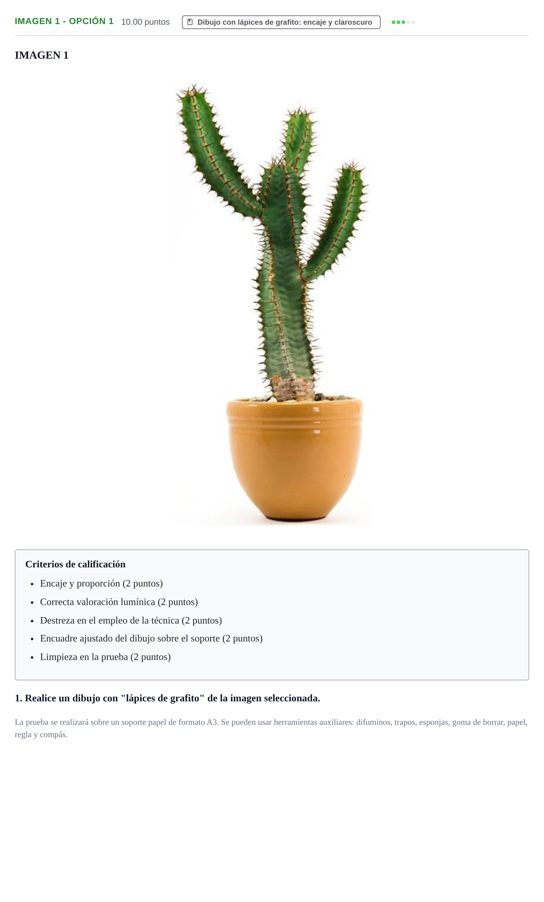 Enunciado: Ejercicio Imagen 1 - Opción 1 · Dibujo Artístico II PAU Castilla-La Mancha Extraordinaria 2024