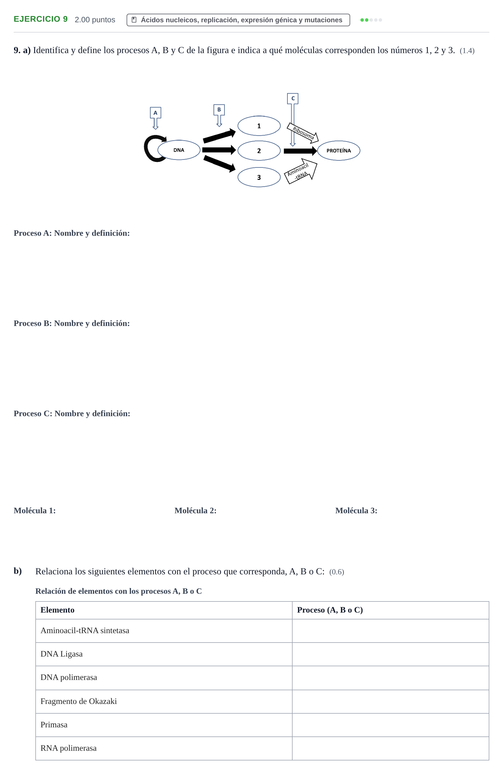 Enunciado: Problema 9 · Biología PAU Castilla y León Extraordinaria 2021