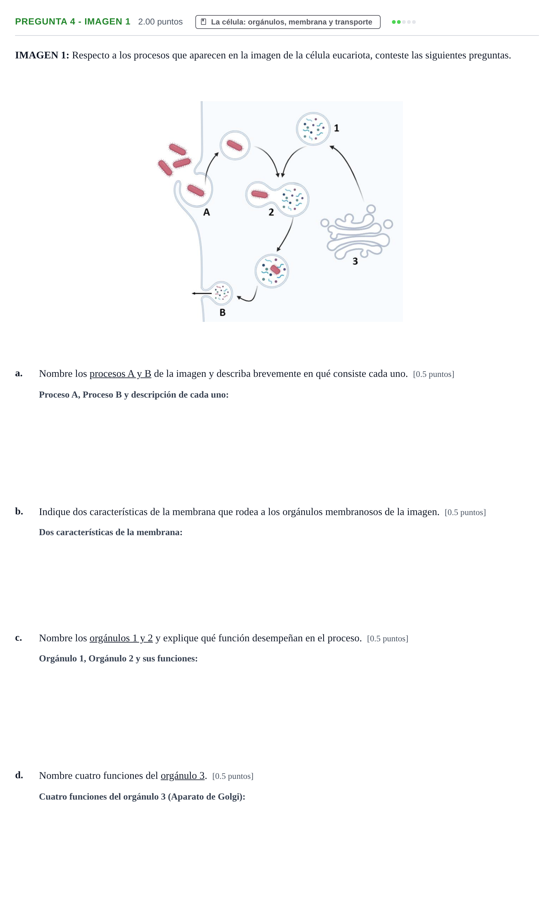 Enunciado: Pregunta 4 - Imagen 1 · Biología PAU Castilla-La Mancha Extraordinaria 2026