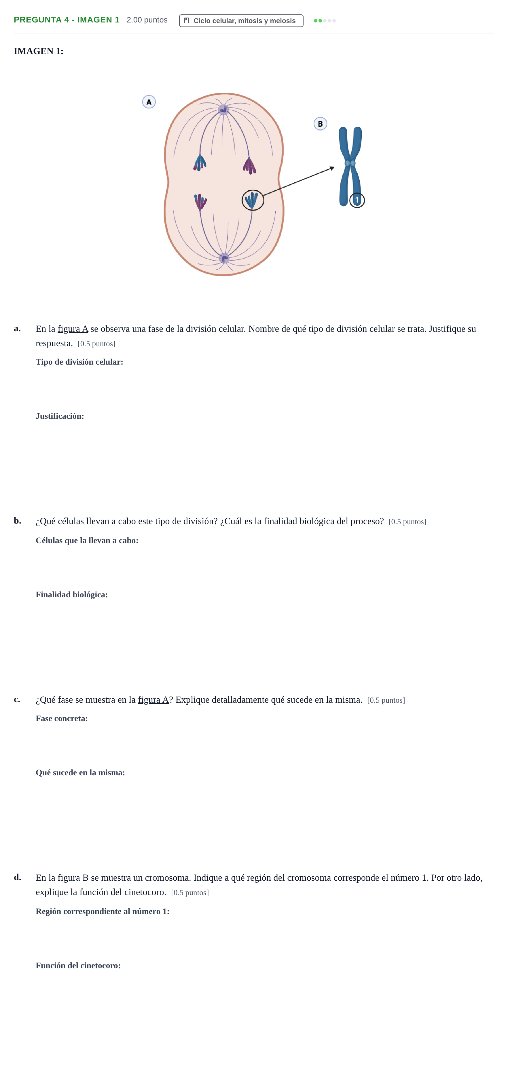 Enunciado: Pregunta 4 - Imagen 1 · Biología PAU Castilla-La Mancha Ordinaria 2026