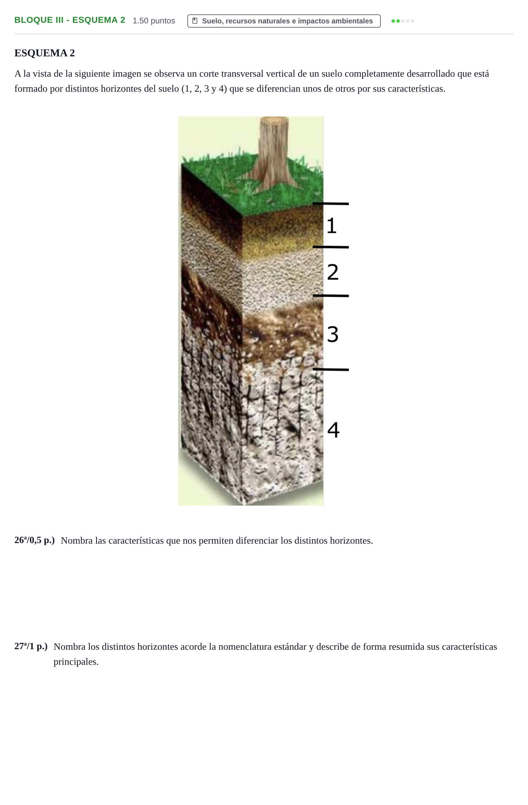 Enunciado: Bloque III - Esquema 2 · Geología y Ciencias Ambientales PAU Castilla-La Mancha Ordinaria 2024