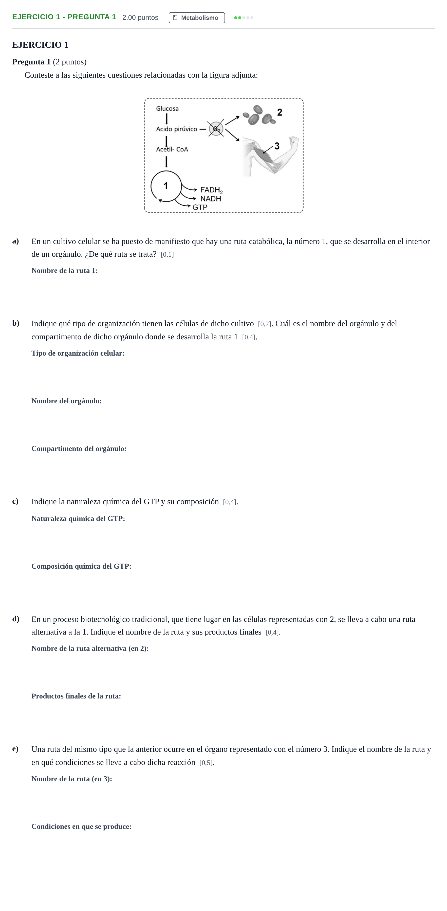 Enunciado: Ejercicio 1 - Pregunta 1 · Biología PAU Andalucía Extraordinaria Titular 2025