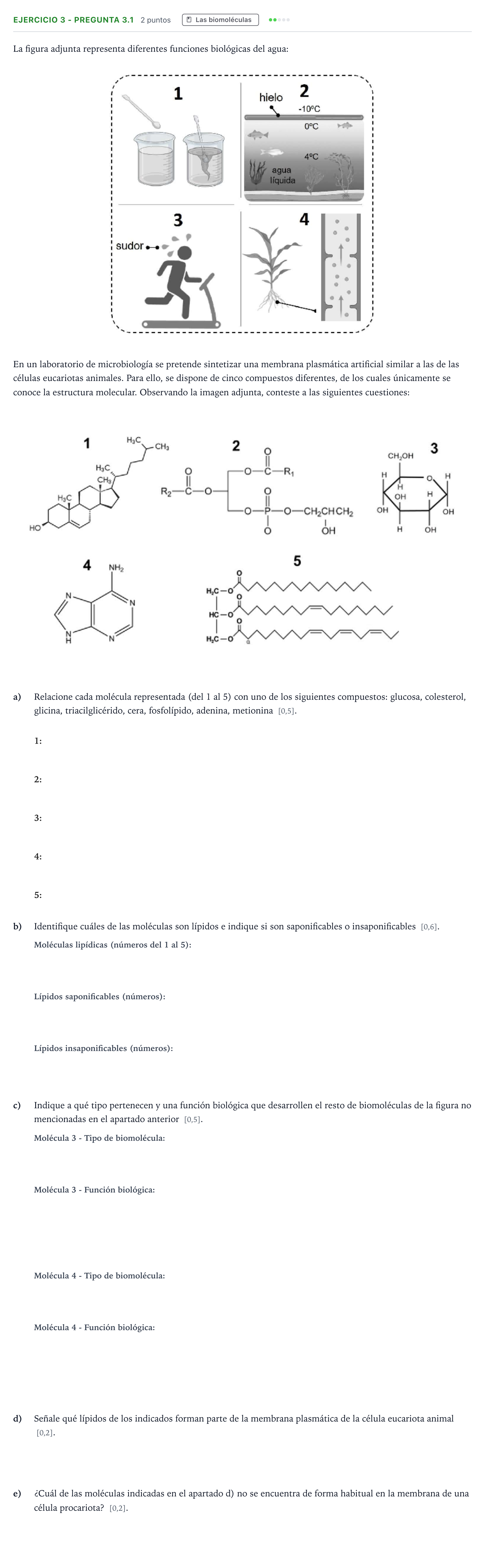 Enunciado: Ejercicio 3 - Pregunta 3.1 · Biología PAU Andalucía Extraordinaria Suplente 2 2025