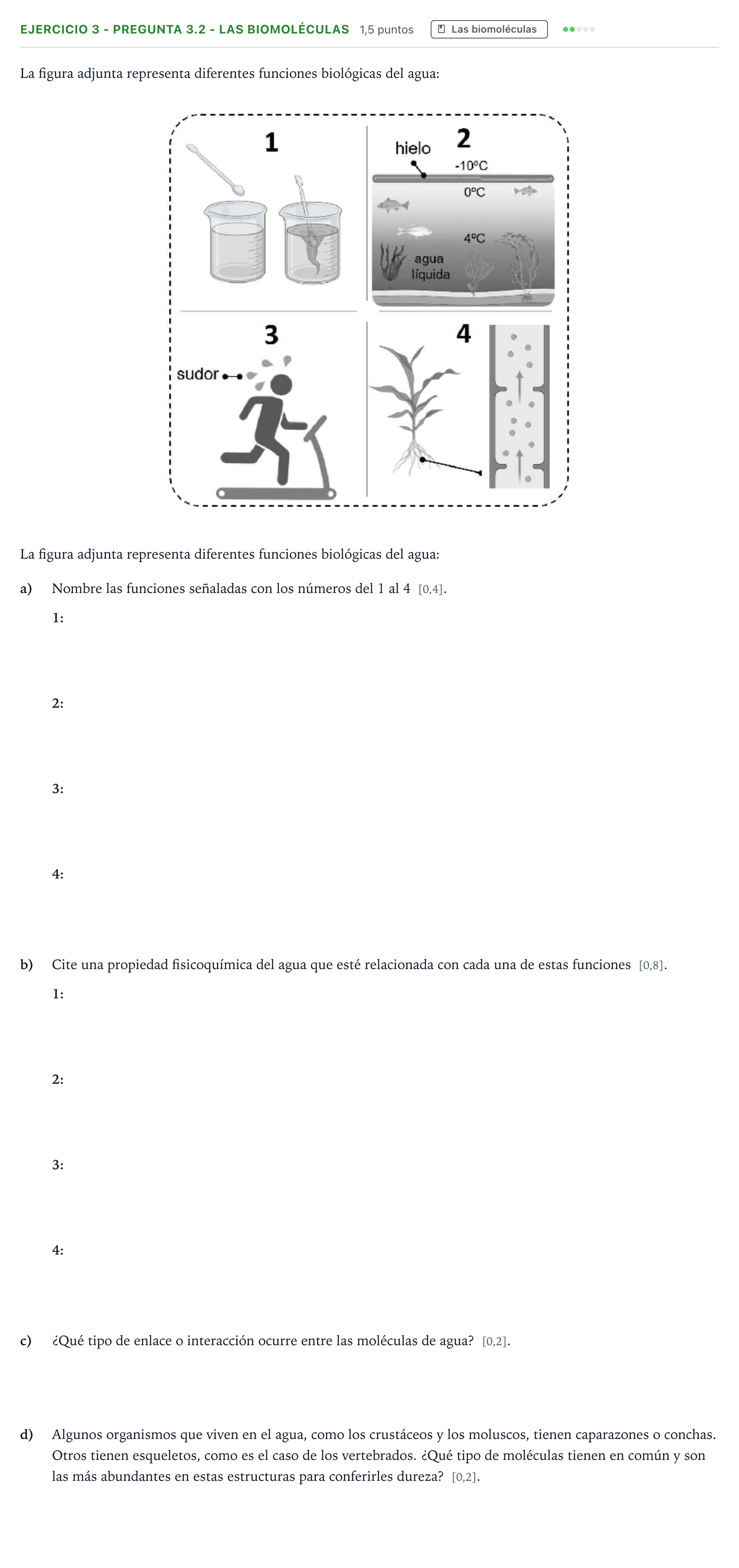 Enunciado: Ejercicio 3 - Pregunta 3.2 - Las biomoléculas · Biología PAU Andalucía Extraordinaria Suplente 2 2025