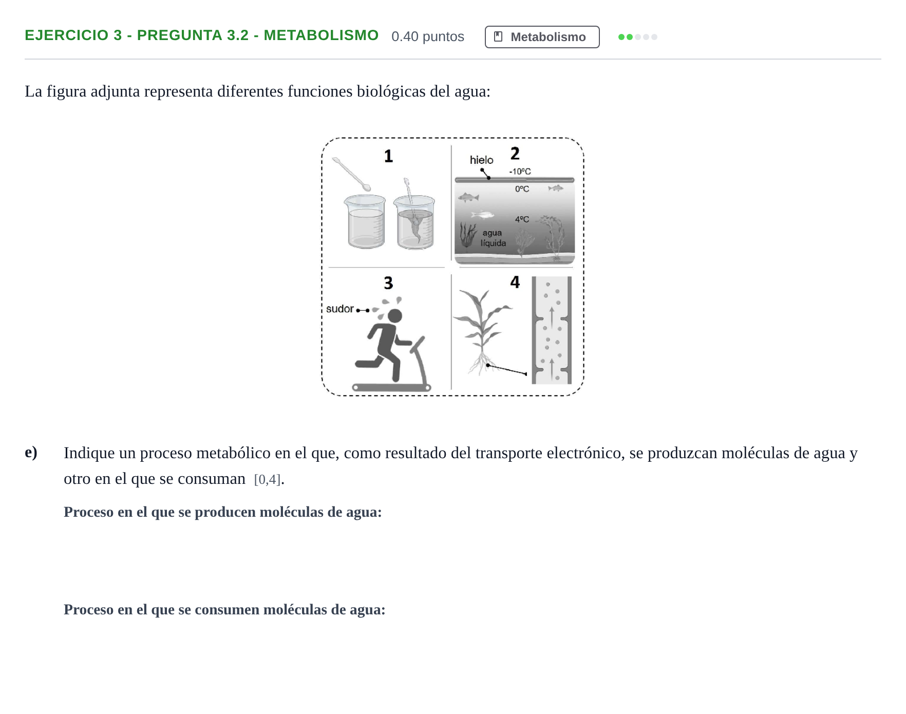 Enunciado: Ejercicio 3 - Pregunta 3.2 - Metabolismo · Biología PAU Andalucía Extraordinaria Suplente 2 2025