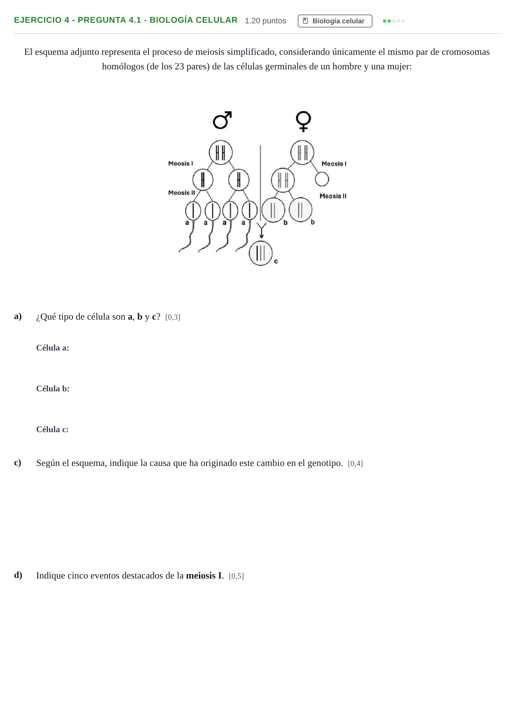 Enunciado: Ejercicio 4 - Pregunta 4.1 - Biología celular · Biología PAU Andalucía Extraordinaria Suplente 2 2025