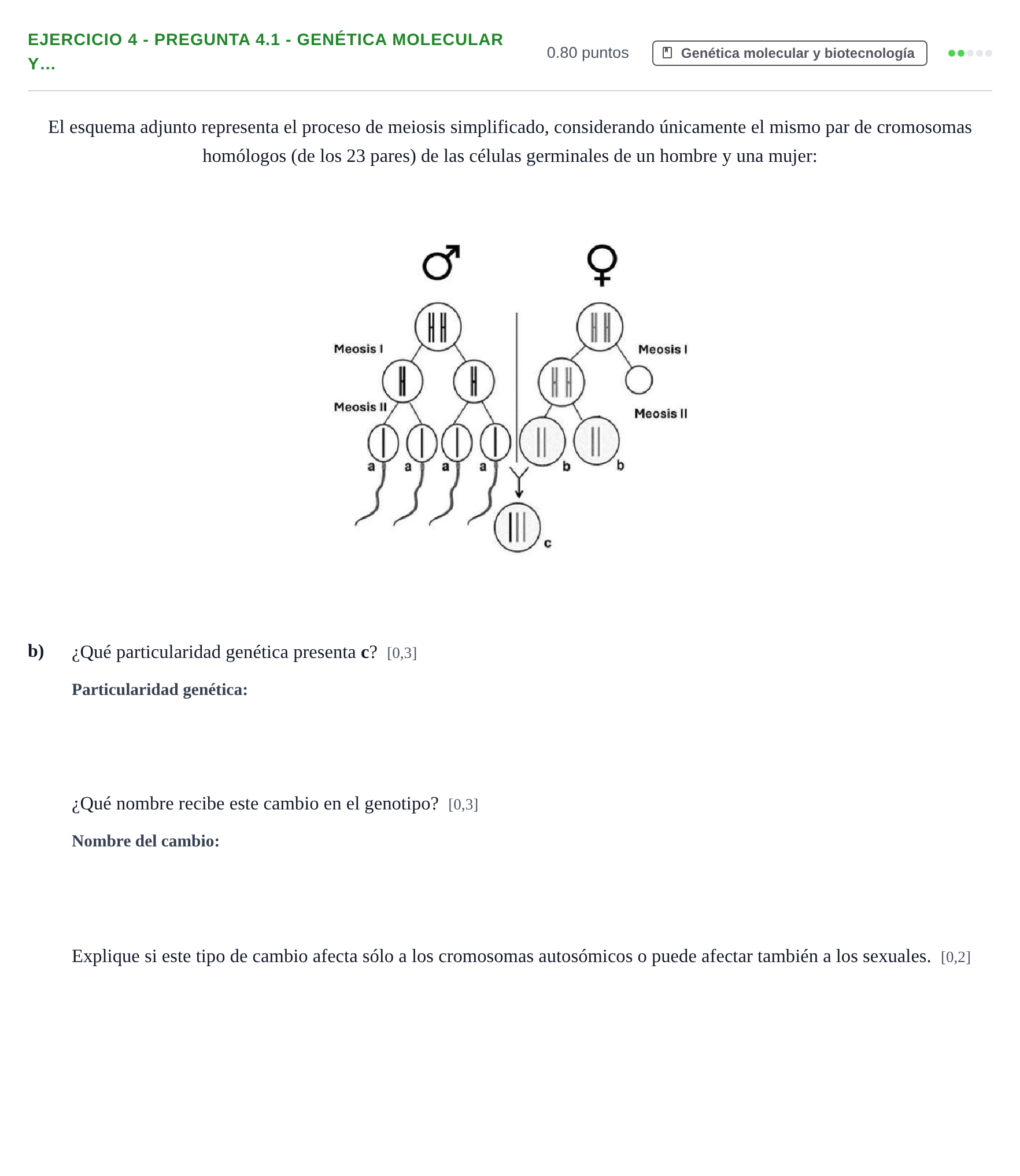 Enunciado: Ejercicio 4 - Pregunta 4.1 - Genética molecular y… · Biología PAU Andalucía Extraordinaria Suplente 2 2025