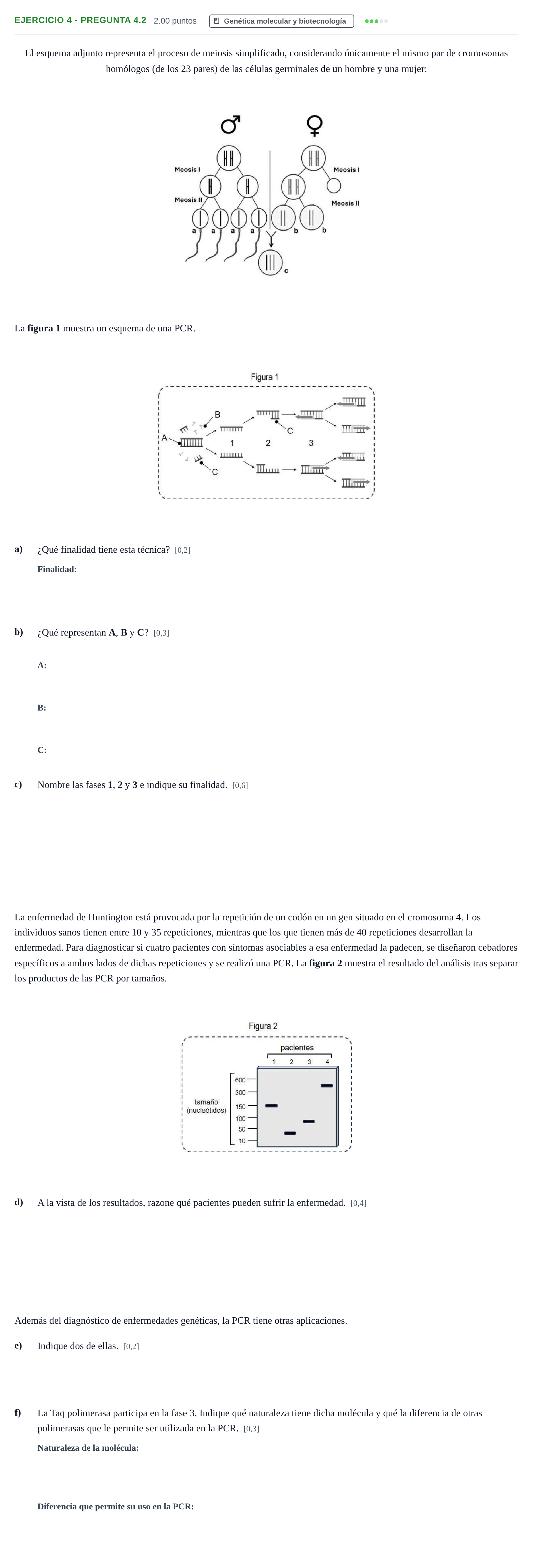 Enunciado: Ejercicio 4 - Pregunta 4.2 · Biología PAU Andalucía Extraordinaria Suplente 2 2025