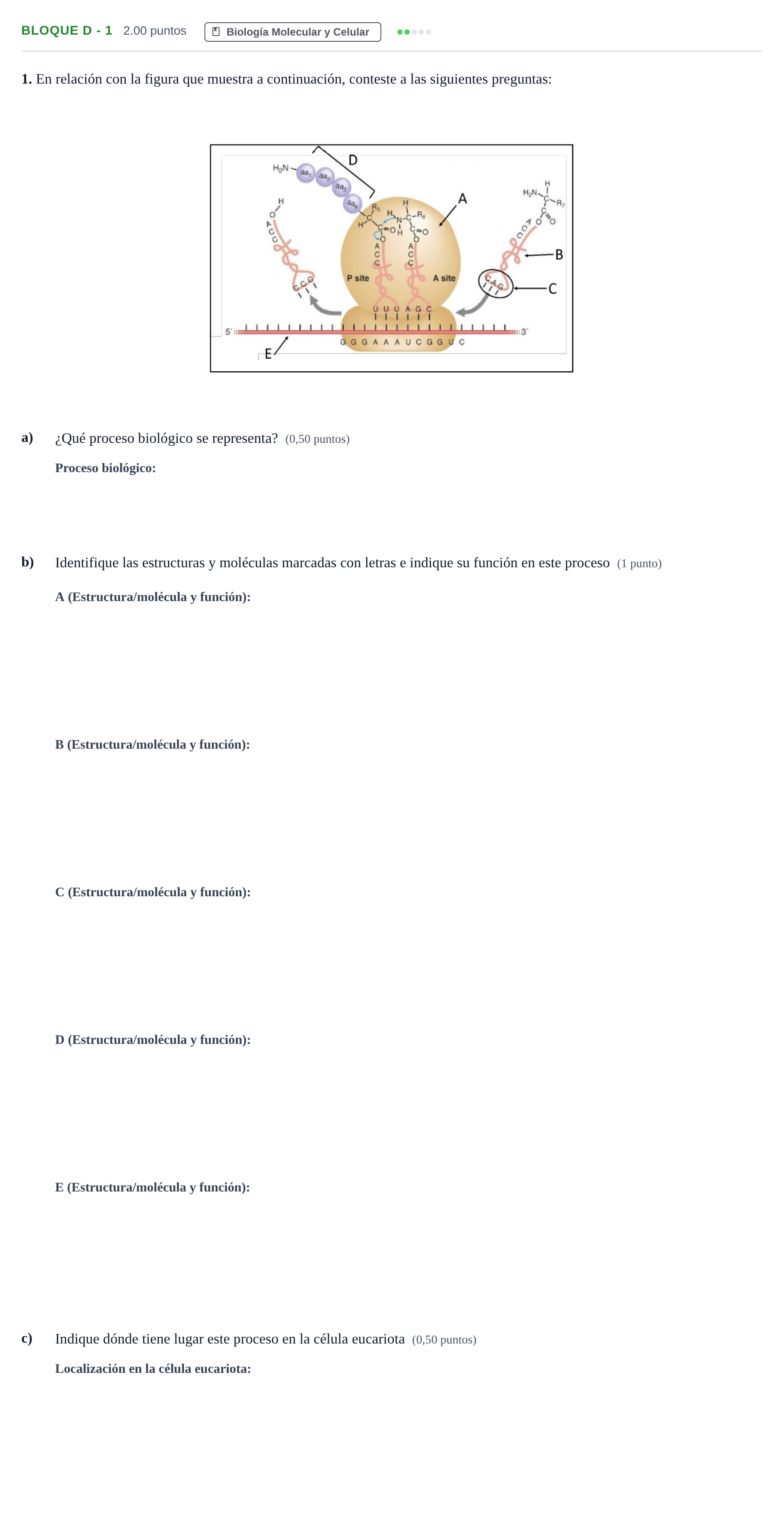 Enunciado: Bloque D - 1 · Ciencias Generales PAU Andalucía Extraordinaria Suplente 2 2025