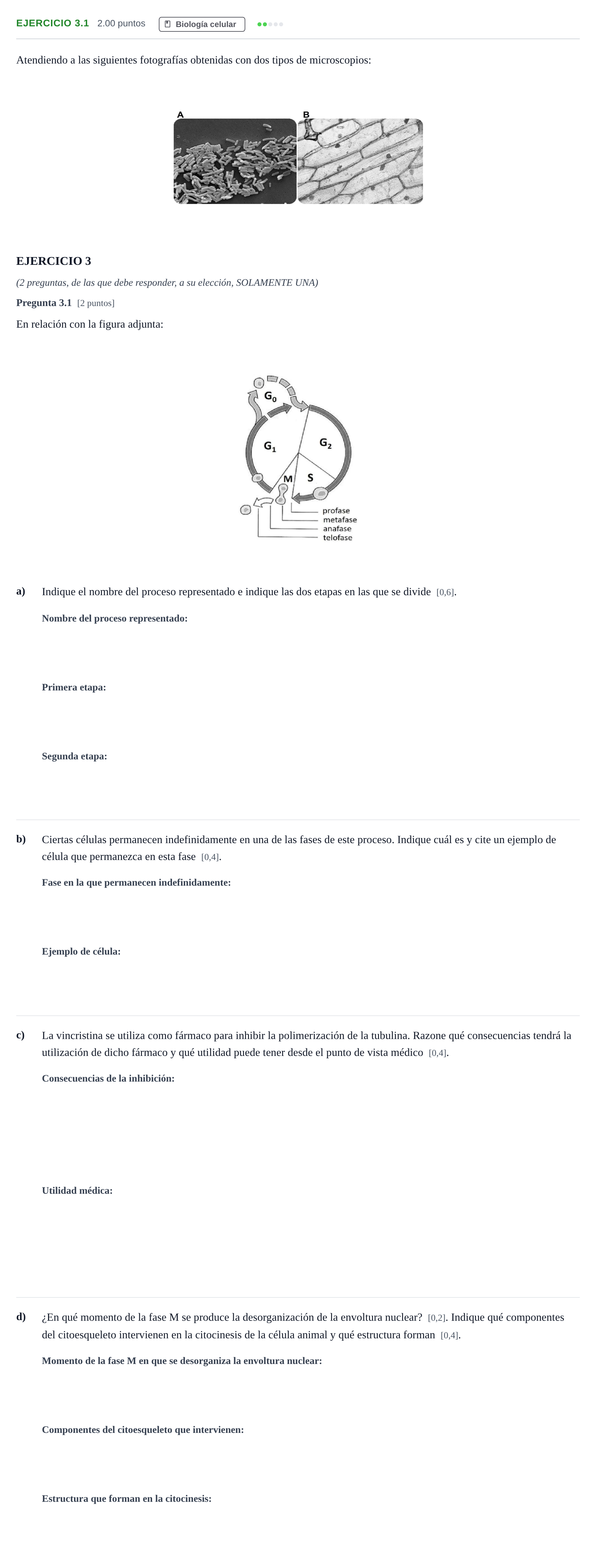 Enunciado: Ejercicio 3.1 · Biología PAU Andalucía Extraordinaria Suplente 1 2025