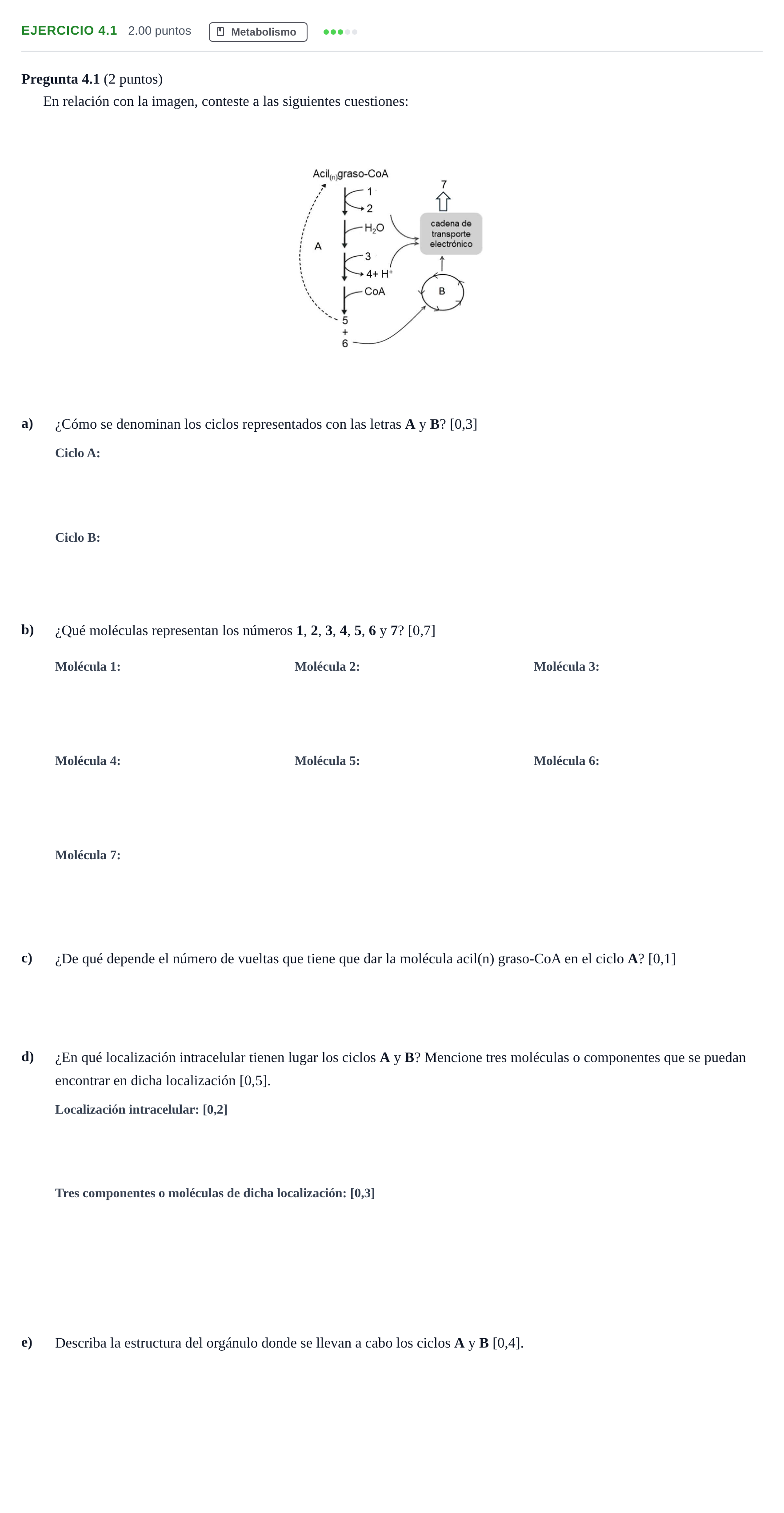 Enunciado: Ejercicio 4.1 · Biología PAU Andalucía Extraordinaria Suplente 1 2025