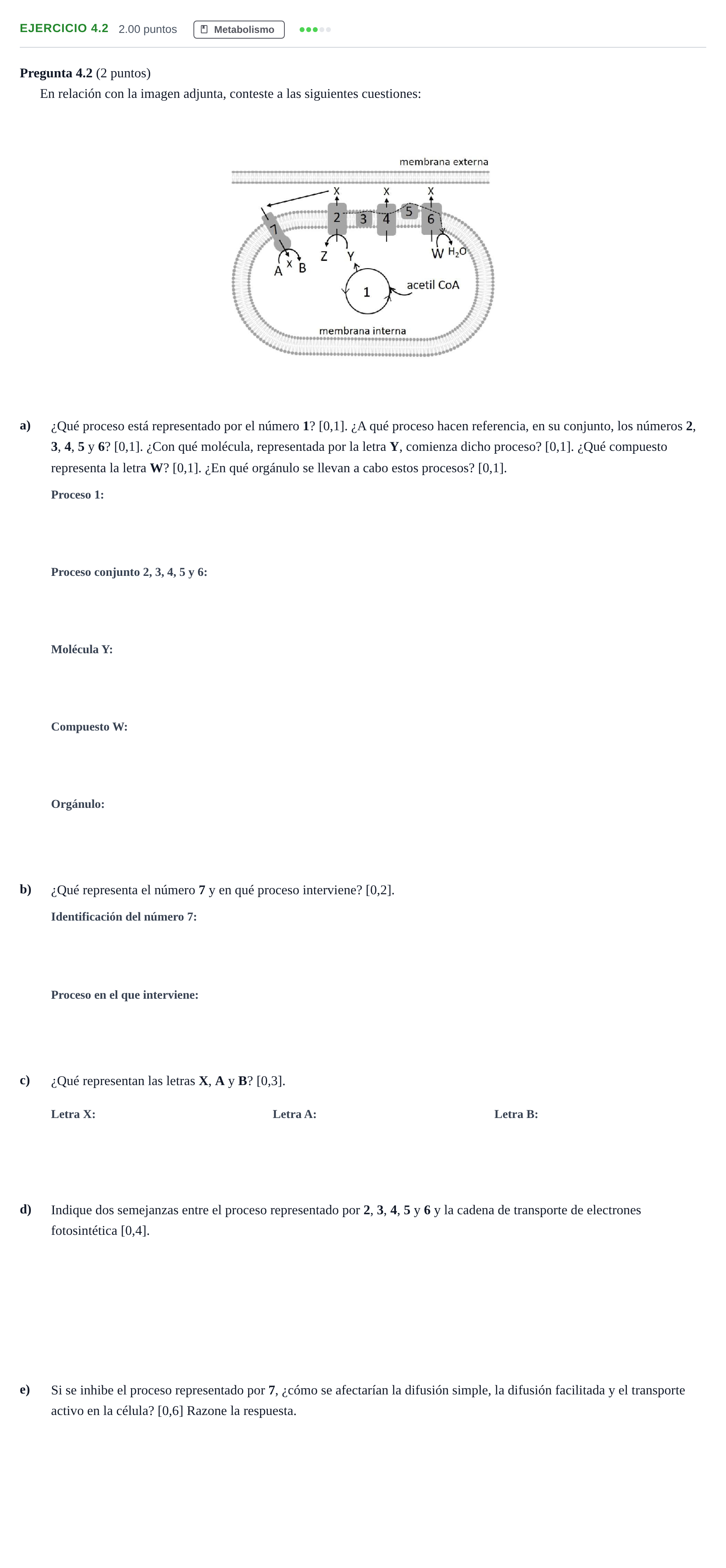 Enunciado: Ejercicio 4.2 · Biología PAU Andalucía Extraordinaria Suplente 1 2025