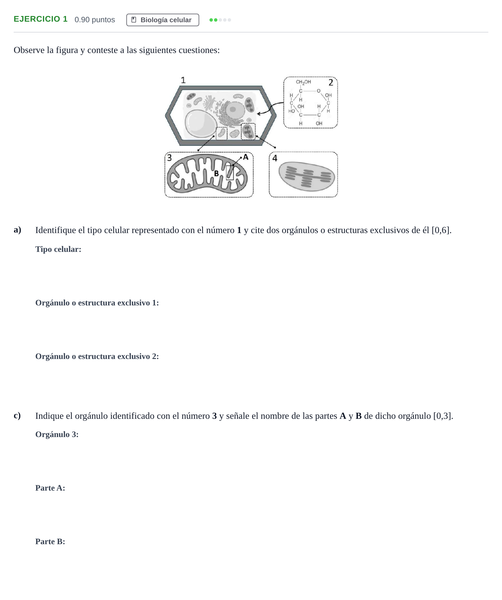 Enunciado: Ejercicio 1 - Biología celular · Biología PAU Andalucía Ordinaria Suplente 1 2025