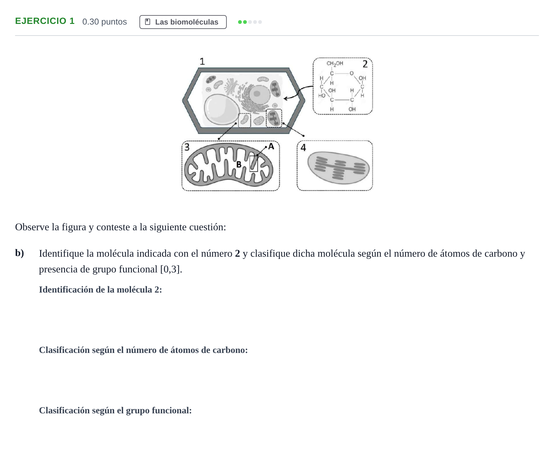 Enunciado: Ejercicio 1 - Las biomoléculas · Biología PAU Andalucía Ordinaria Suplente 1 2025
