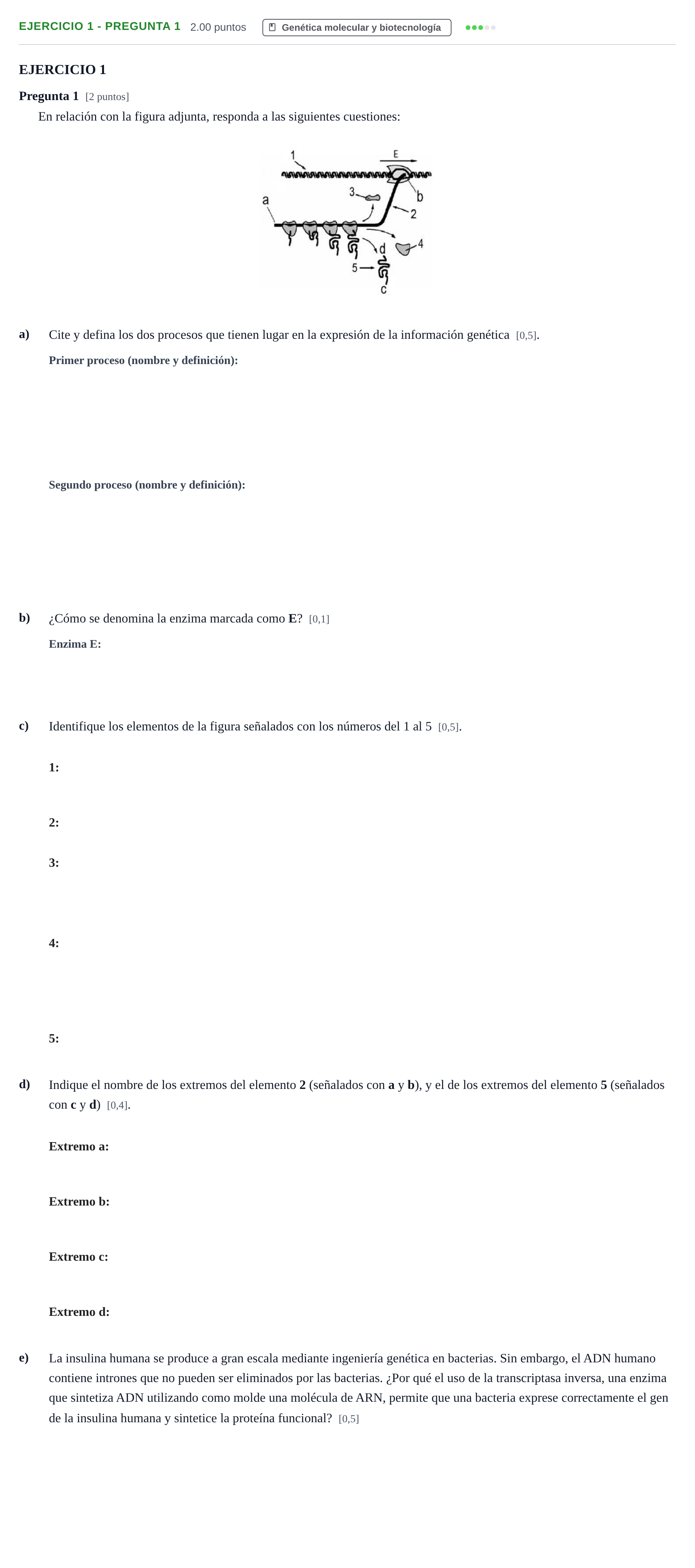 Enunciado: Ejercicio 1 - Pregunta 1 · Biología PAU Andalucía Ordinaria Titular 2025