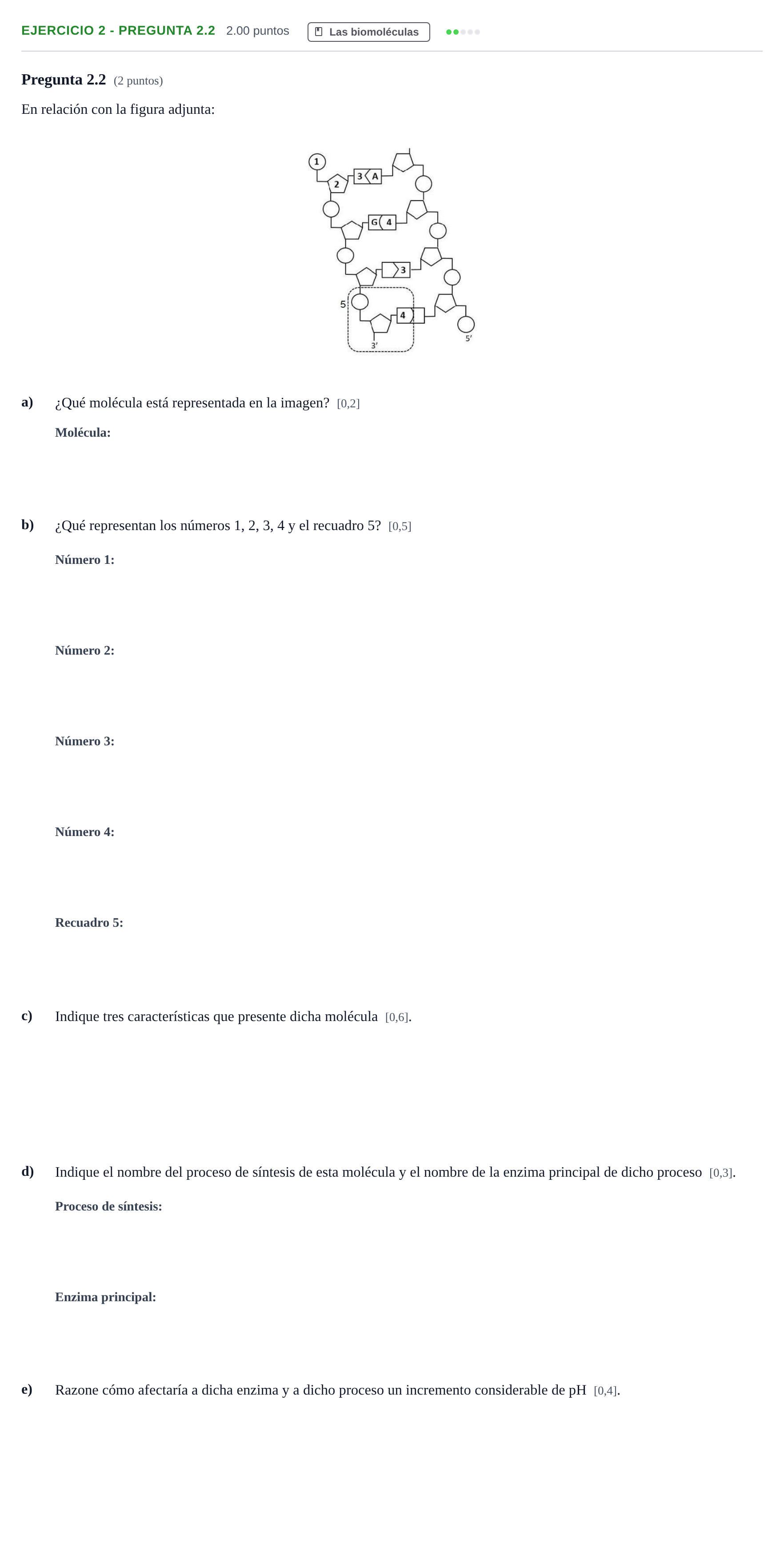 Enunciado: Ejercicio 2 - Pregunta 2.2 · Biología PAU Andalucía Ordinaria Titular 2025