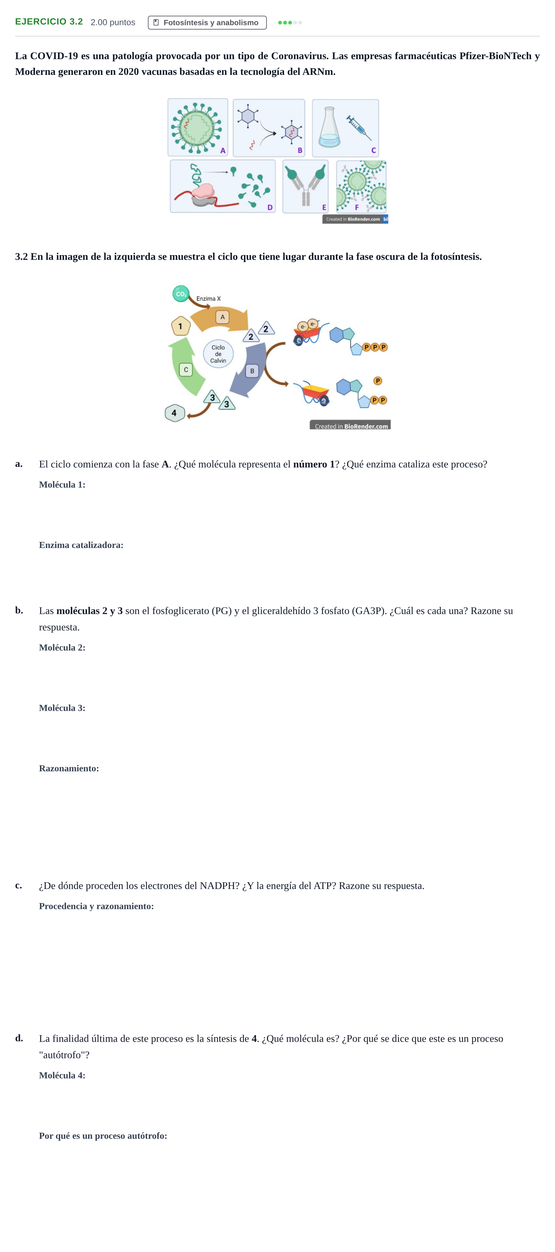 Enunciado: Ejercicio 3.2 · Biología PAU Castilla-La Mancha Extraordinaria 2023