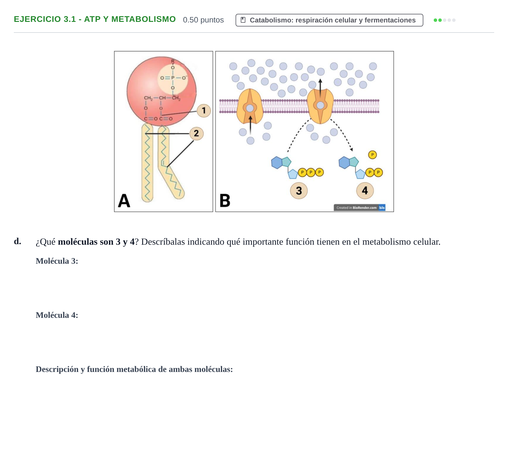 Enunciado: Ejercicio 3.1 - ATP y metabolismo · Biología PAU Castilla-La Mancha Ordinaria 2023