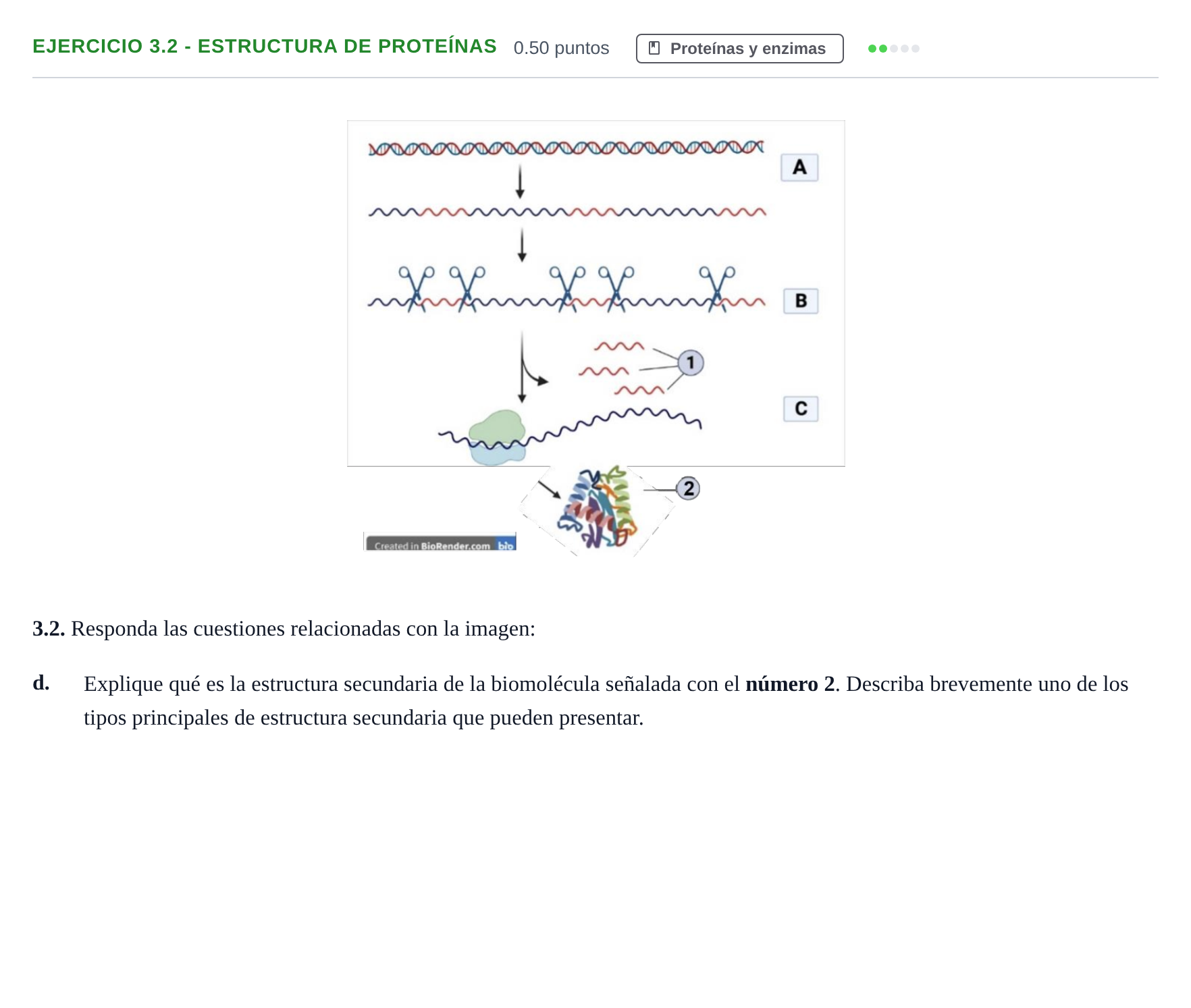 Enunciado: Ejercicio 3.2 - Estructura de proteínas · Biología PAU Castilla-La Mancha Ordinaria 2023