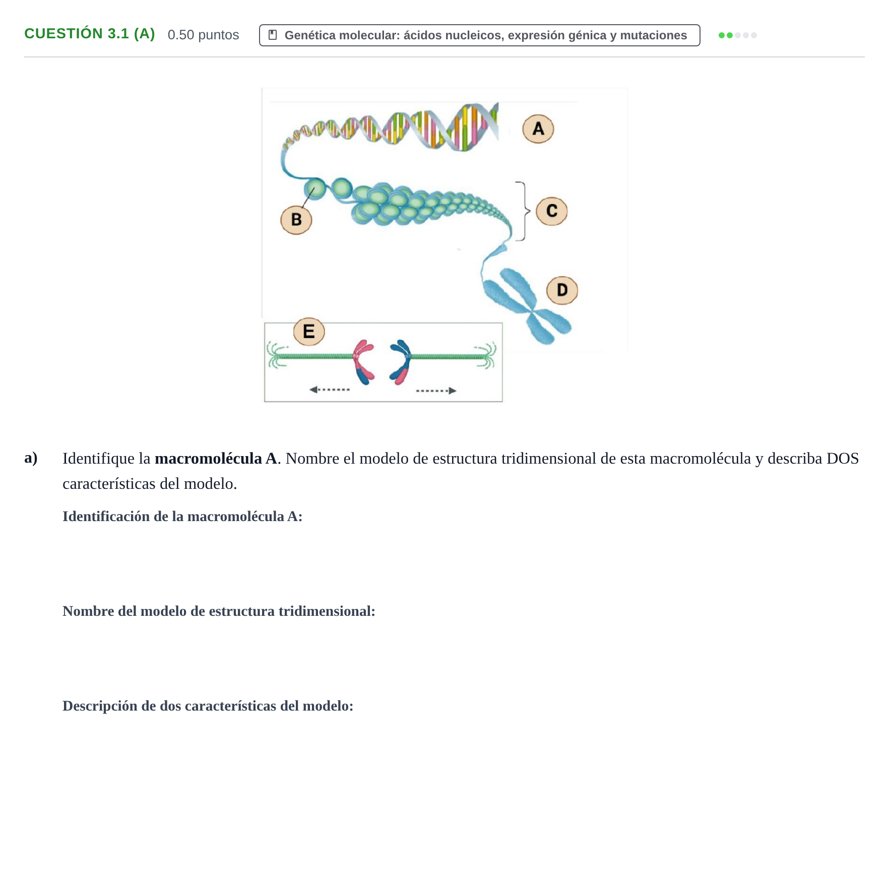 Enunciado: Cuestión 3.1 (a) - Genética molecular · Biología PAU Castilla-La Mancha Ordinaria 2022