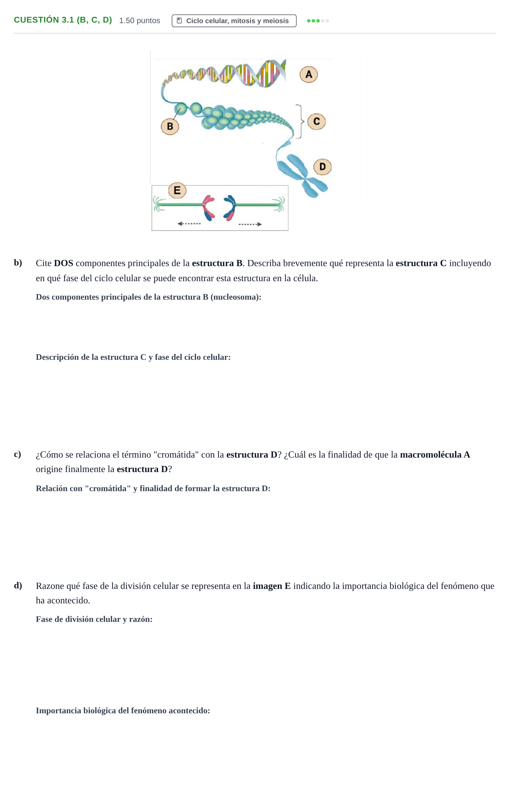 Enunciado: Cuestión 3.1 (b, c, d) - Ciclo celular, mitosis y… · Biología PAU Castilla-La Mancha Ordinaria 2022